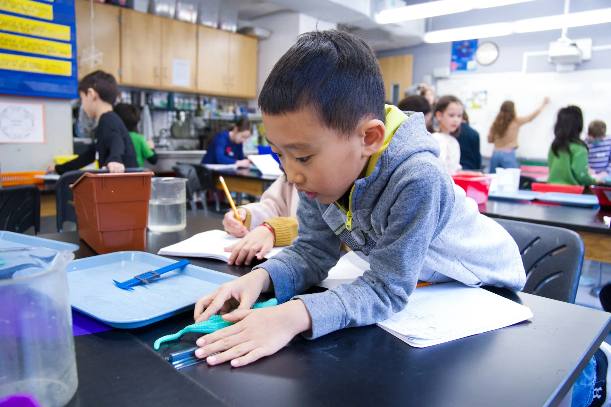 Edited Third Grade Alligator Lab-1.jpg