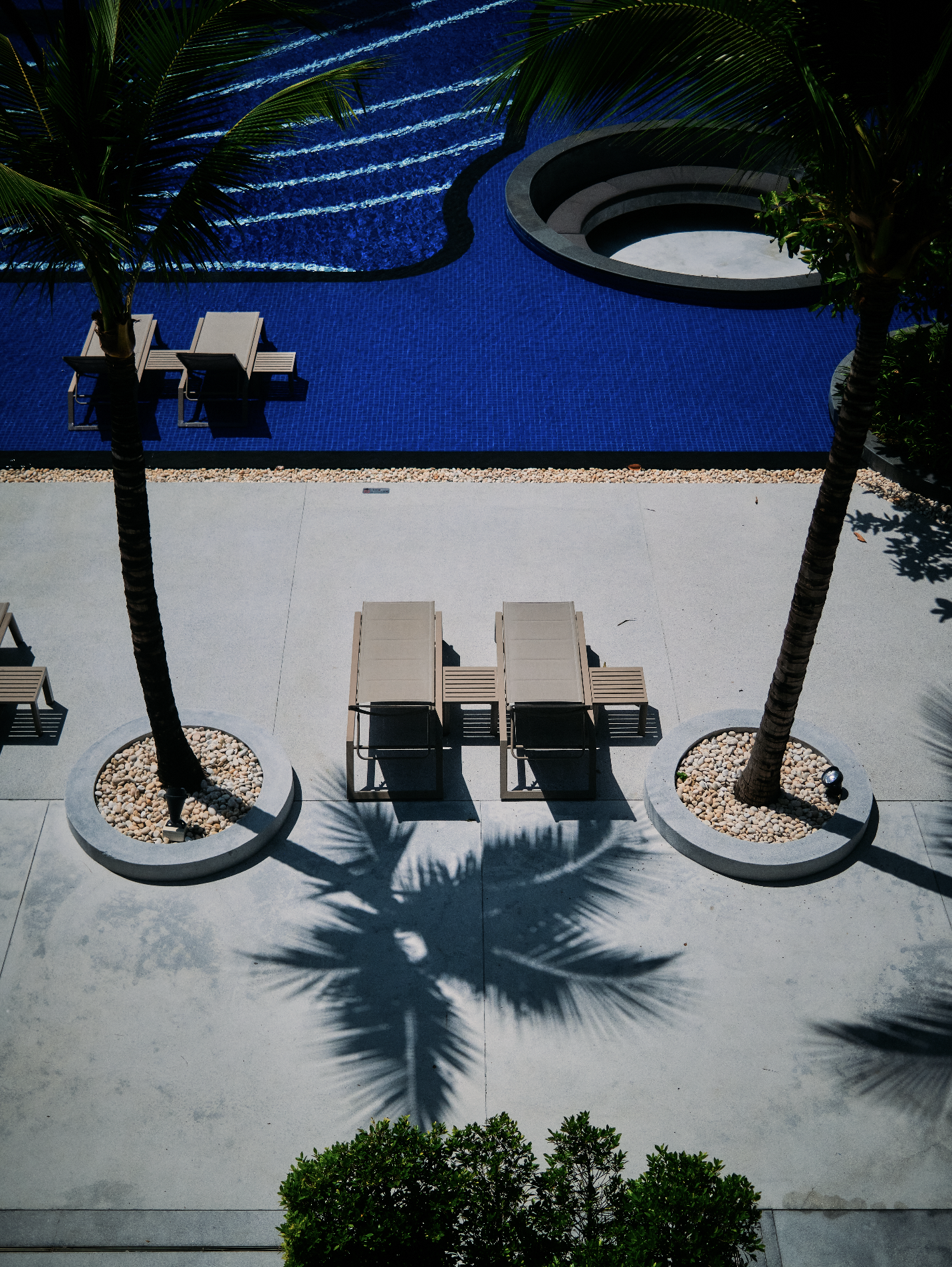 A swimming pool with blue tiles and a hot tub, surrounded by white concrete and featuring two palm trees casting shadows. There are two lounge chairs in front of the palm trees, with a small shrub at the bottom of the image.