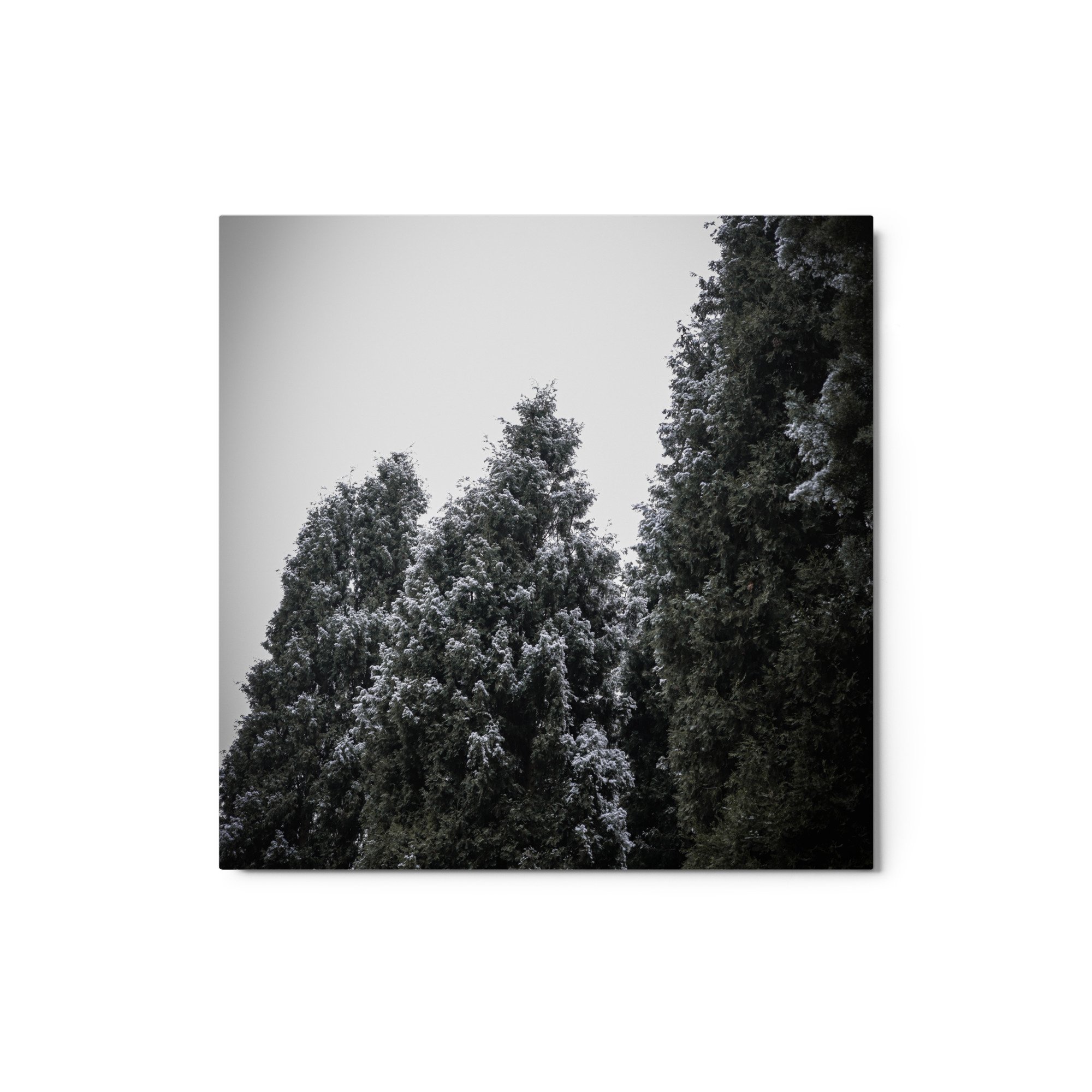 glossy-metal-print-(in)-white-12x12-front-64d46ef2a3a2d.jpg