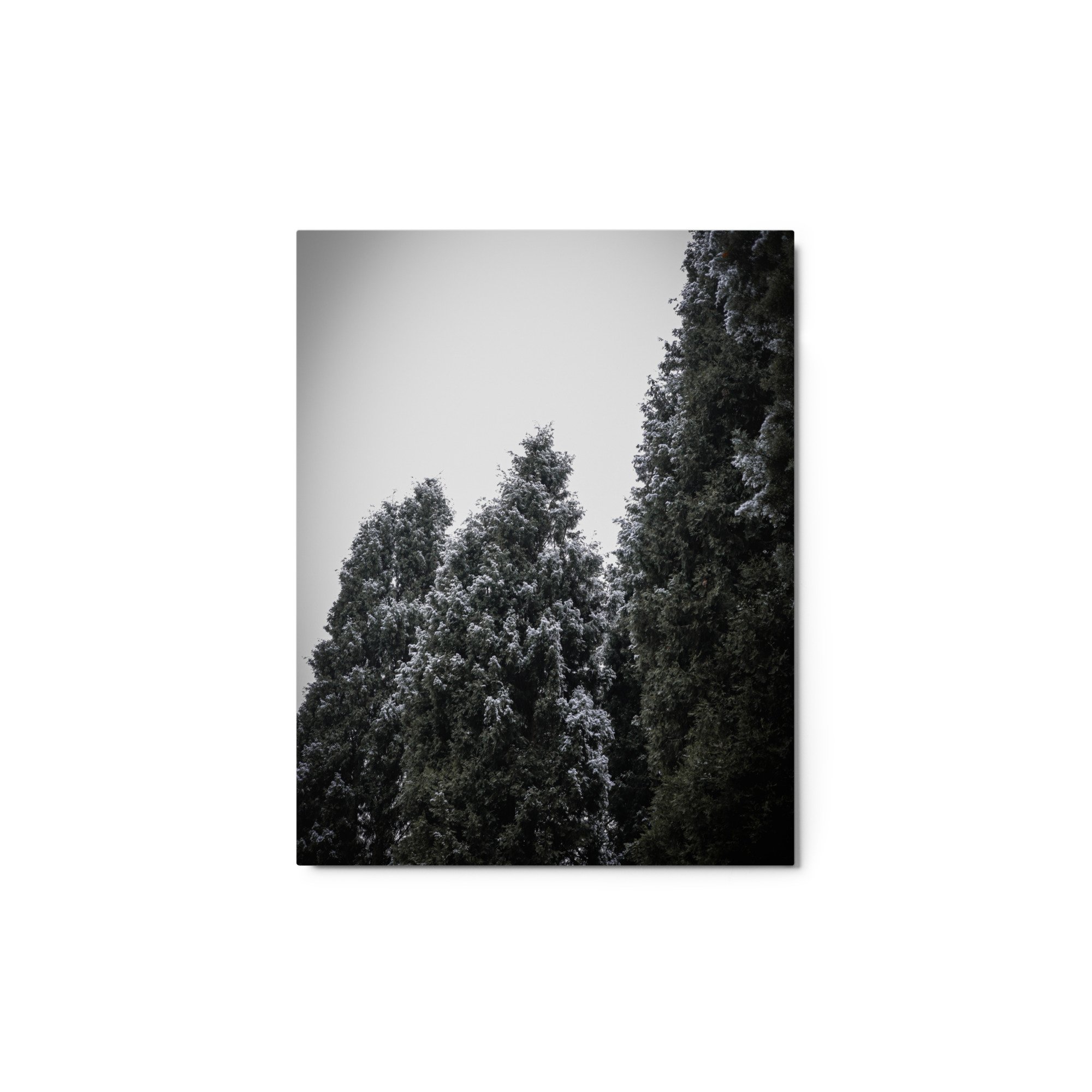 glossy-metal-print-(in)-white-11x14-front-64d46f34de5be.jpg