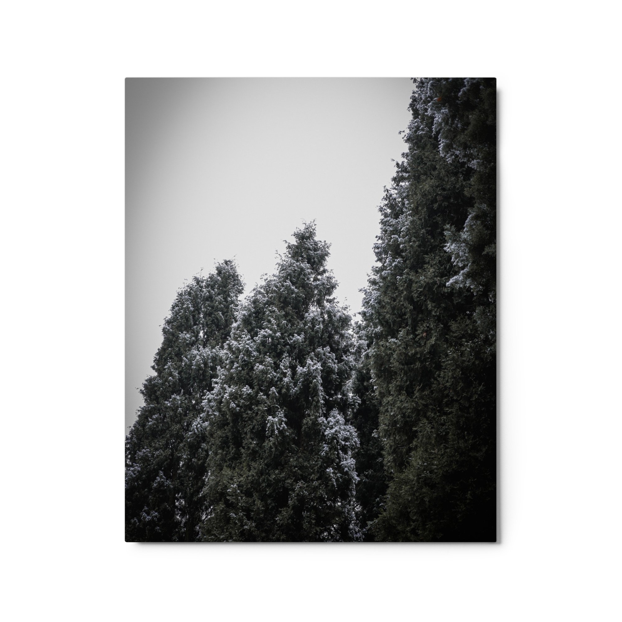 glossy-metal-print-(in)-white-16x20-front-64d46f4d0ebf5.jpg