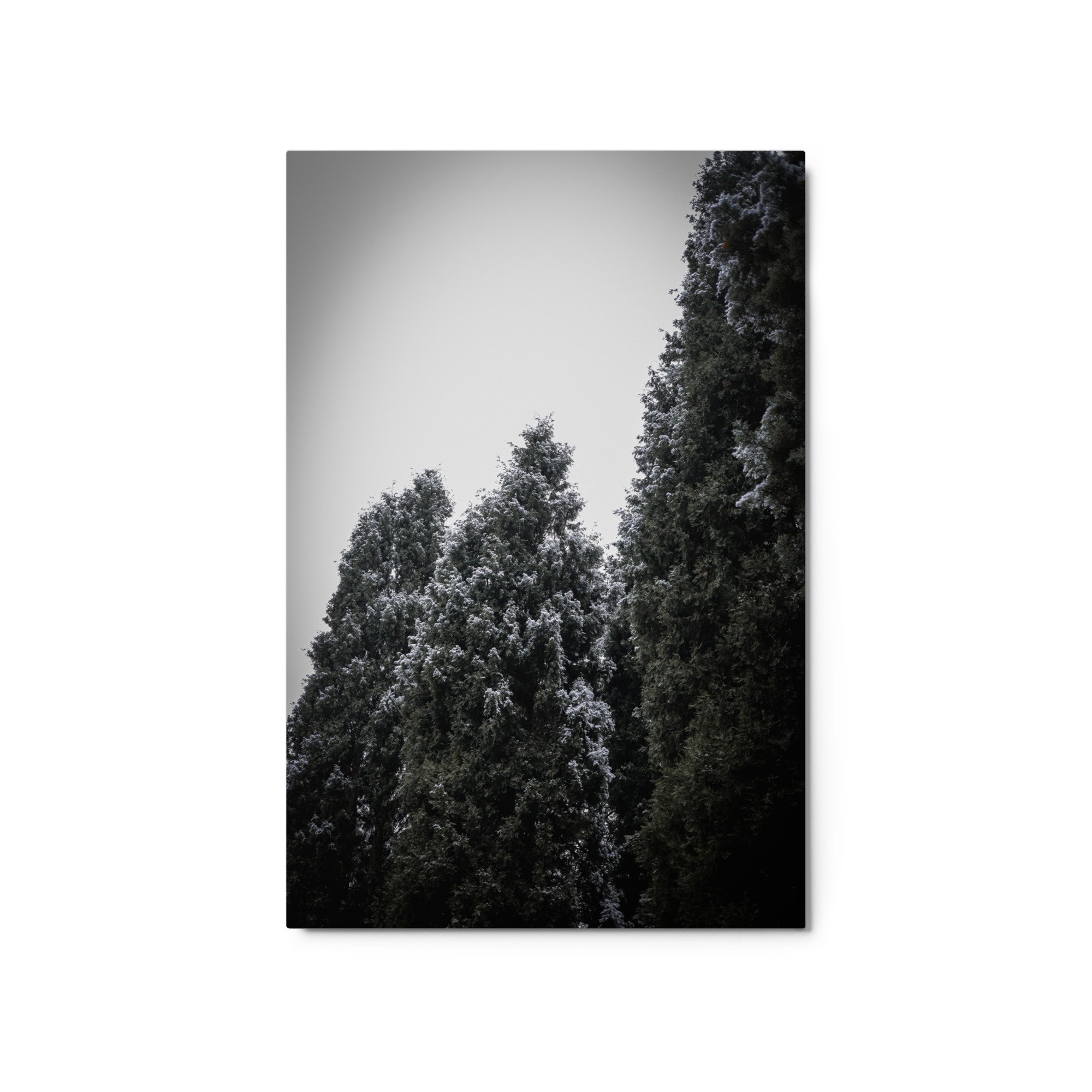glossy-metal-print-(in)-white-20x30-front-64d46f648fab5.jpg
