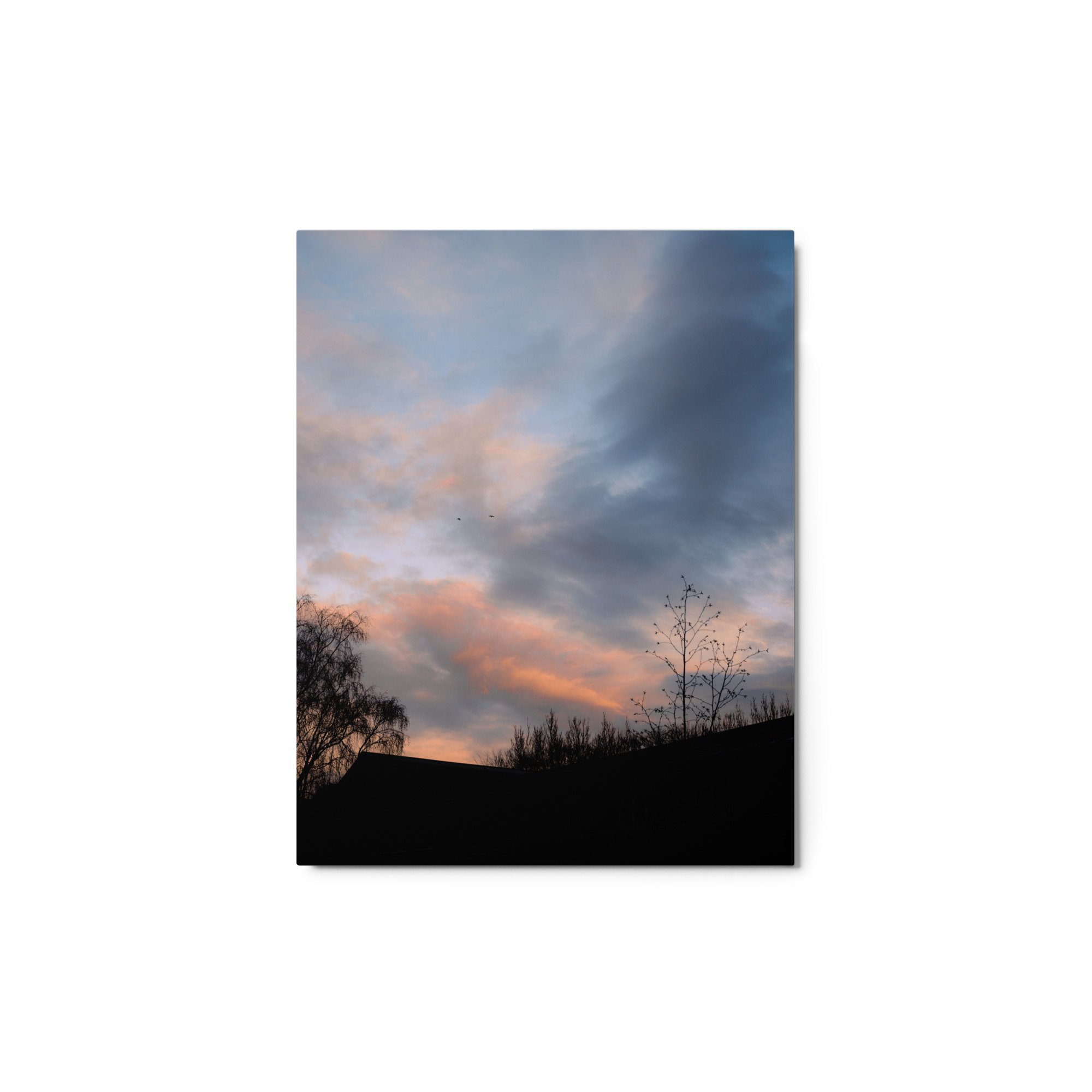 glossy-metal-print-(in)-white-11x14-front-64d4737b14878.jpg