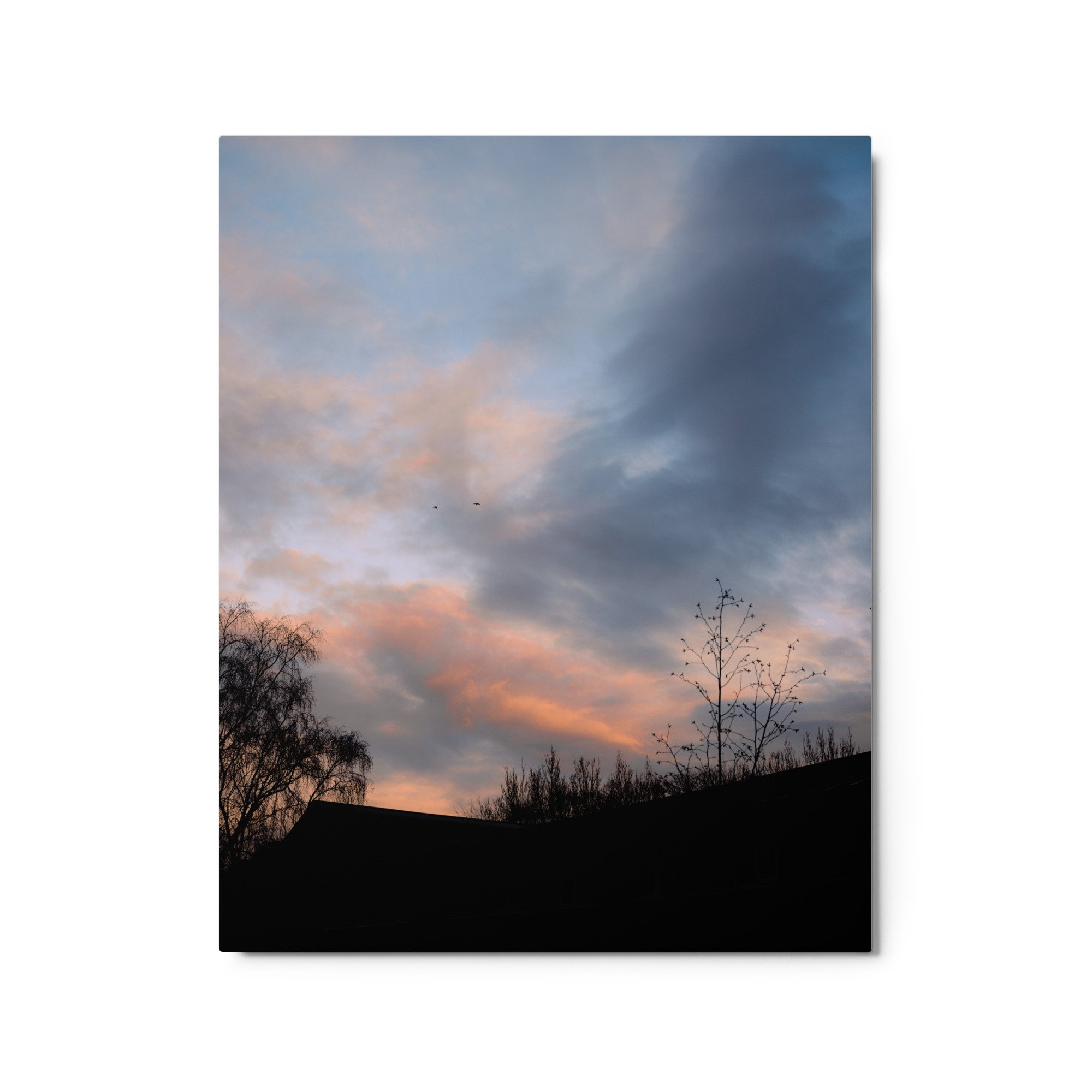 glossy-metal-print-(in)-white-16x20-front-64d4737b148c6.jpg