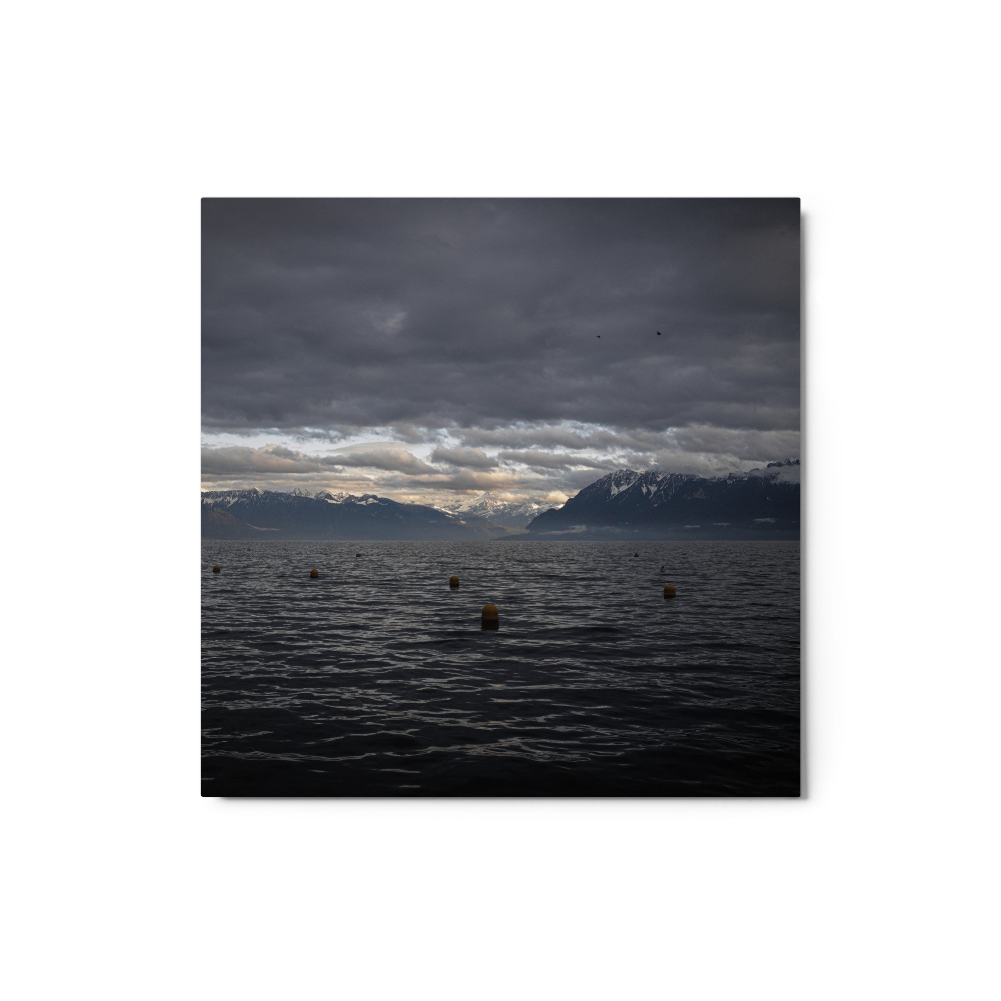glossy-metal-print-(in)-white-12x12-front-64d475b0e0a04.jpg