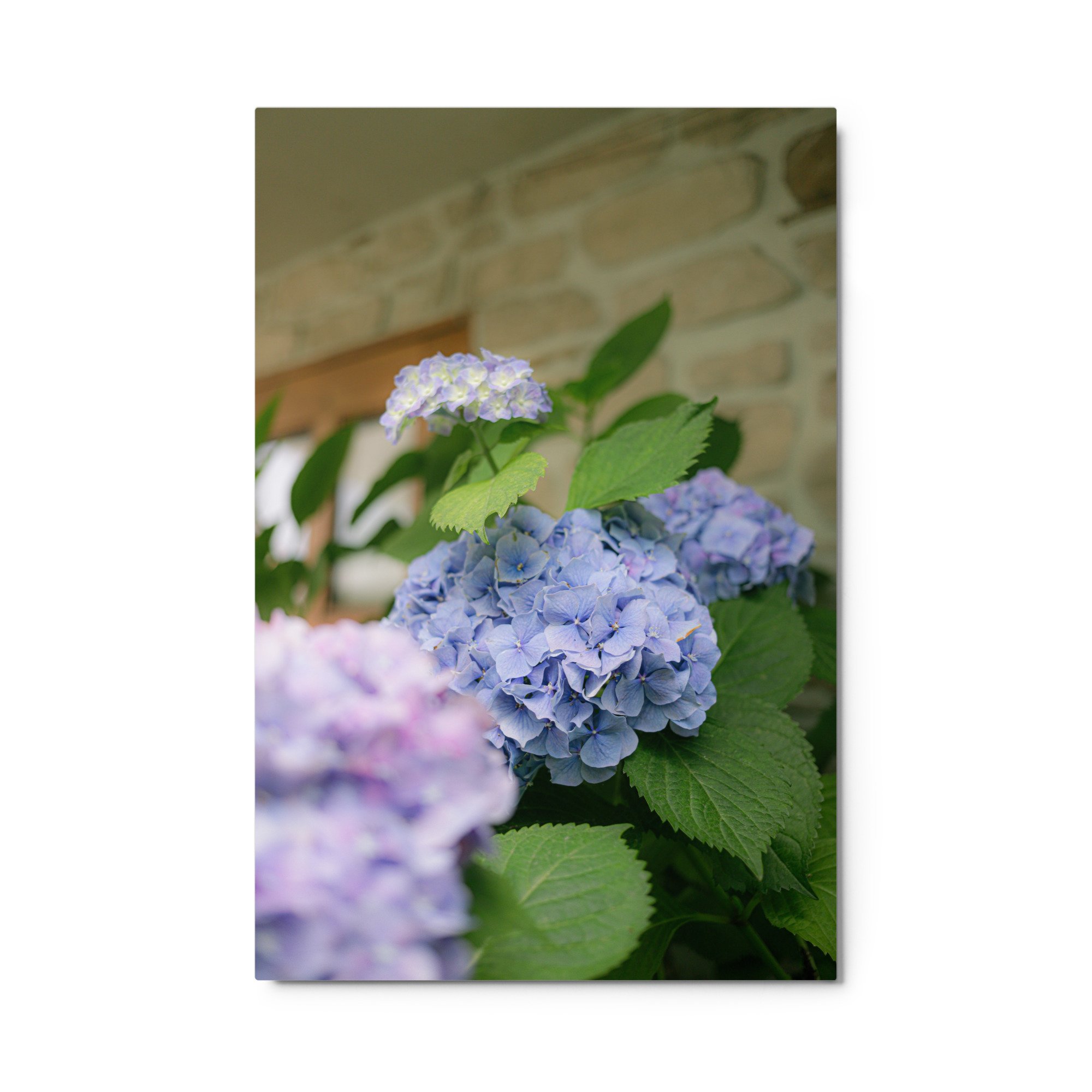 glossy-metal-print-(in)-white-24x36-front-64d47a357e18d.jpg
