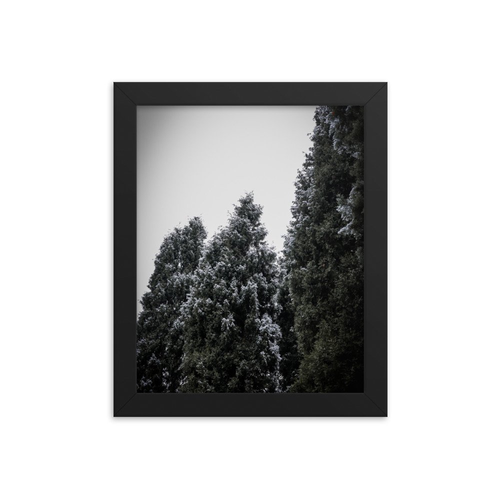 enhanced-matte-paper-framed-poster-(in)-black-8x10-transparent-64d480811f596.jpg