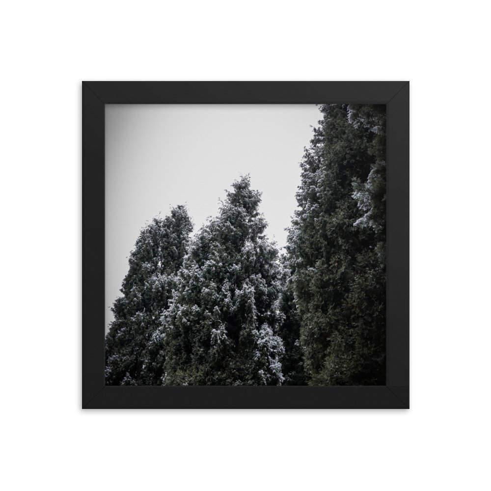 enhanced-matte-paper-framed-poster-(in)-black-10x10-transparent-64d480811f61b.jpg
