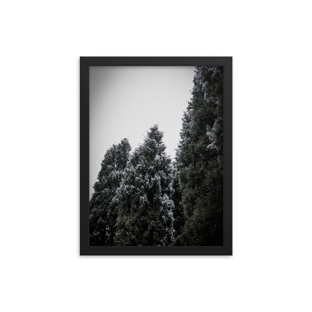 enhanced-matte-paper-framed-poster-(in)-black-12x16-transparent-64d480811f724.jpg