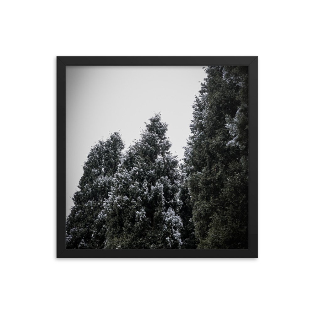 enhanced-matte-paper-framed-poster-(in)-black-16x16-transparent-64d480811f87d.jpg