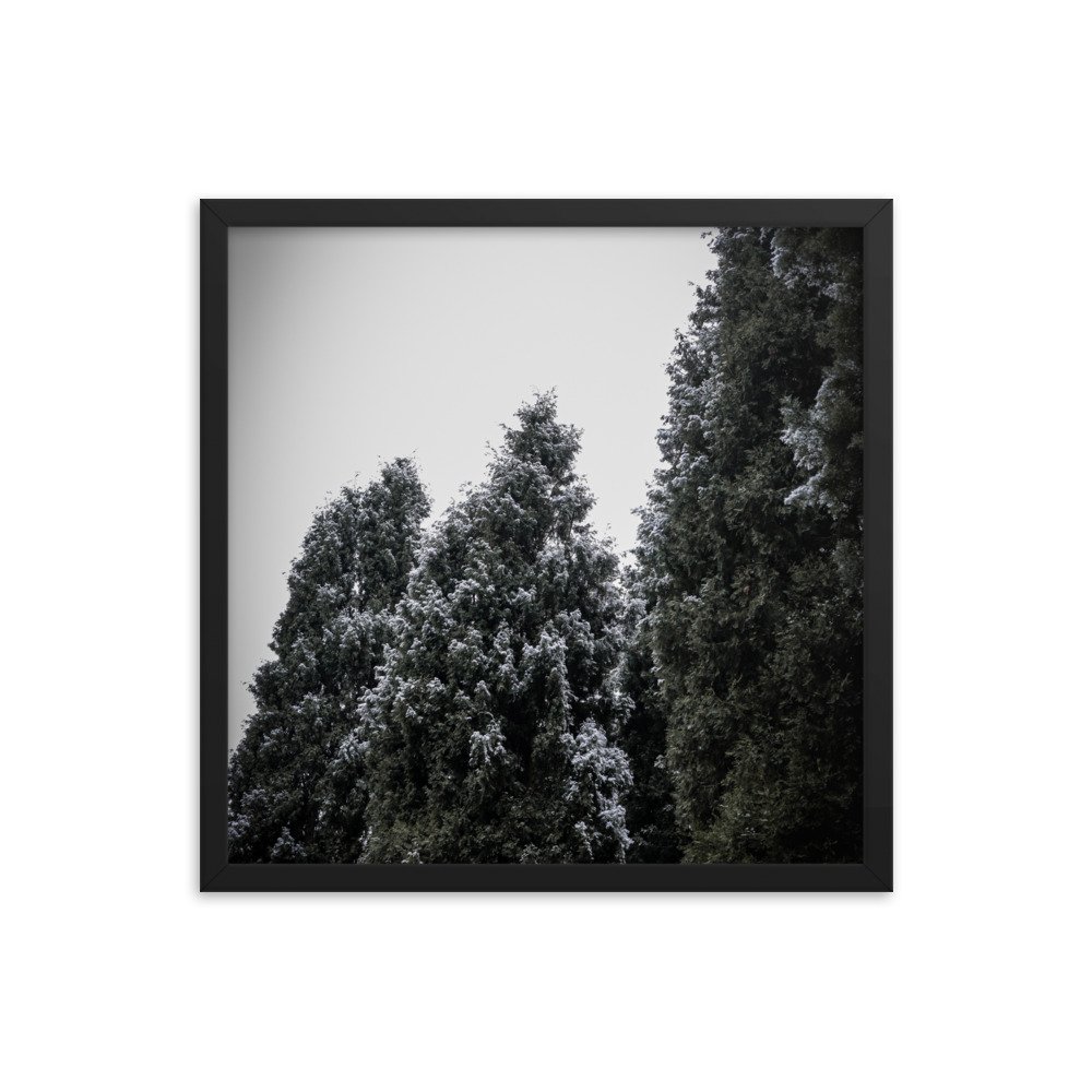 enhanced-matte-paper-framed-poster-(in)-black-18x18-transparent-64d480811f92b.jpg