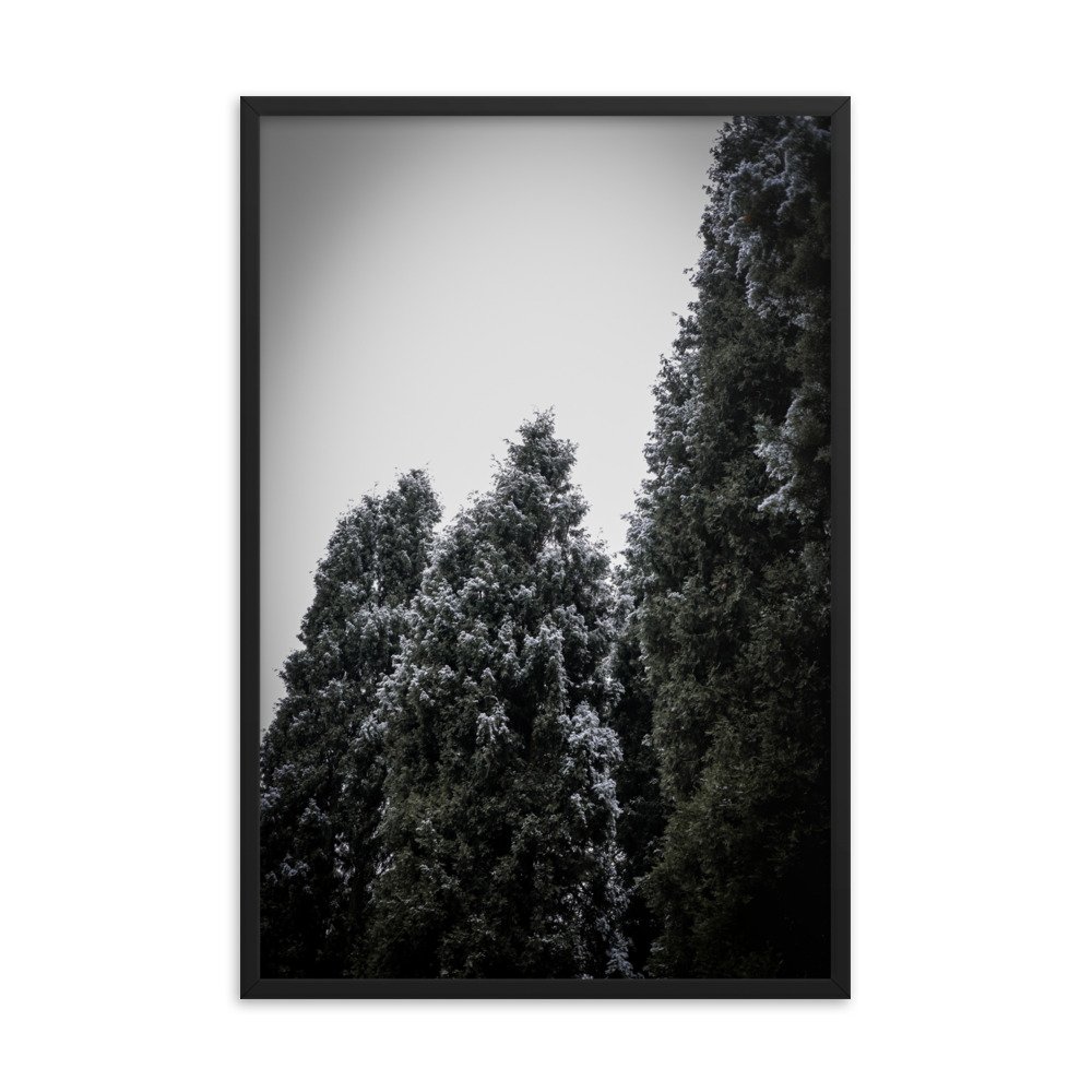 enhanced-matte-paper-framed-poster-(in)-black-24x36-transparent-64d480811f9a7.jpg