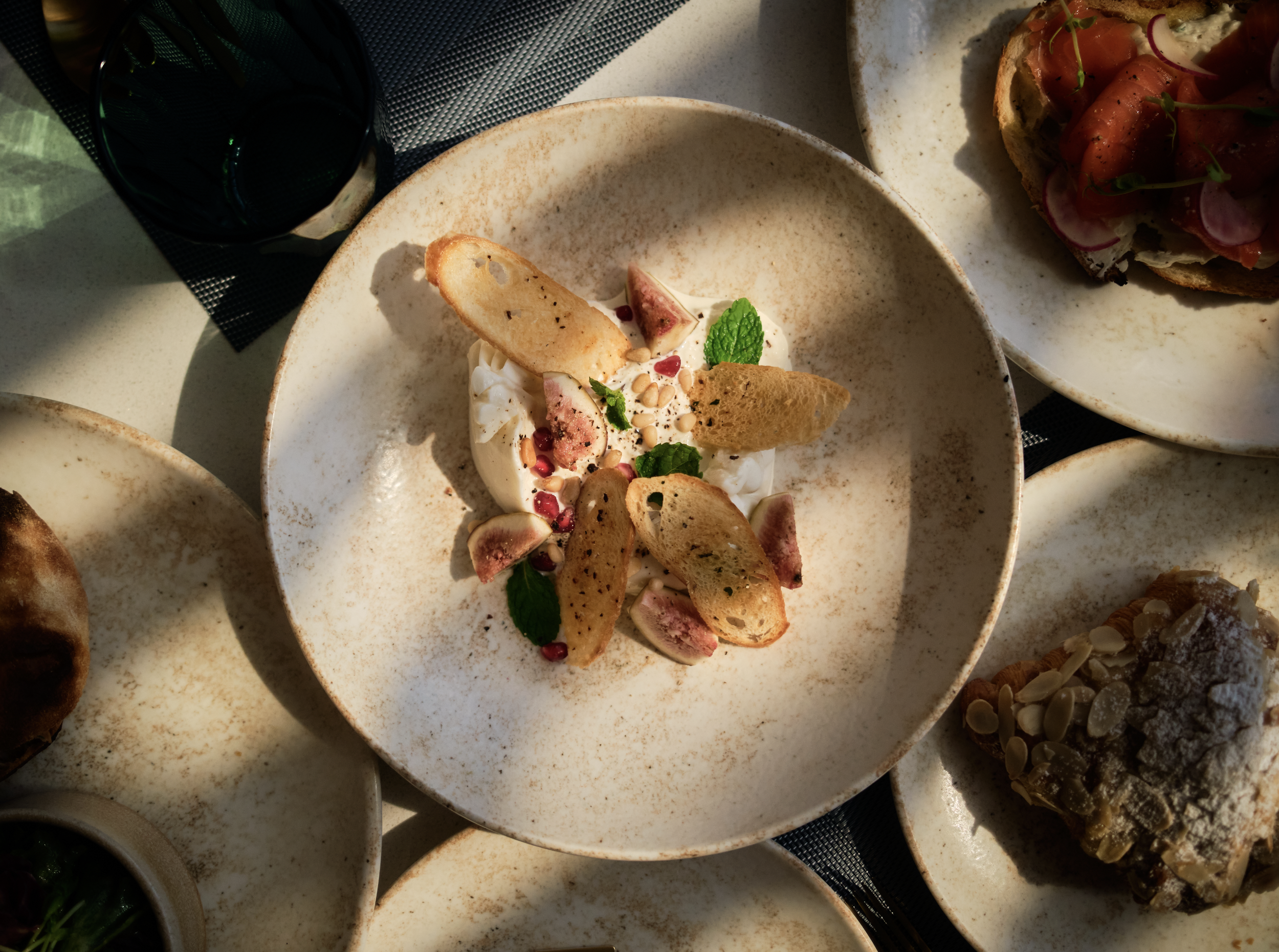 Close-up of a dessert, possibly yogurt or panna cotta, garnished with toasted thin bread slices, seeds, a sprig of mint, and pink pomegranate seeds, served on a white speckled plate.