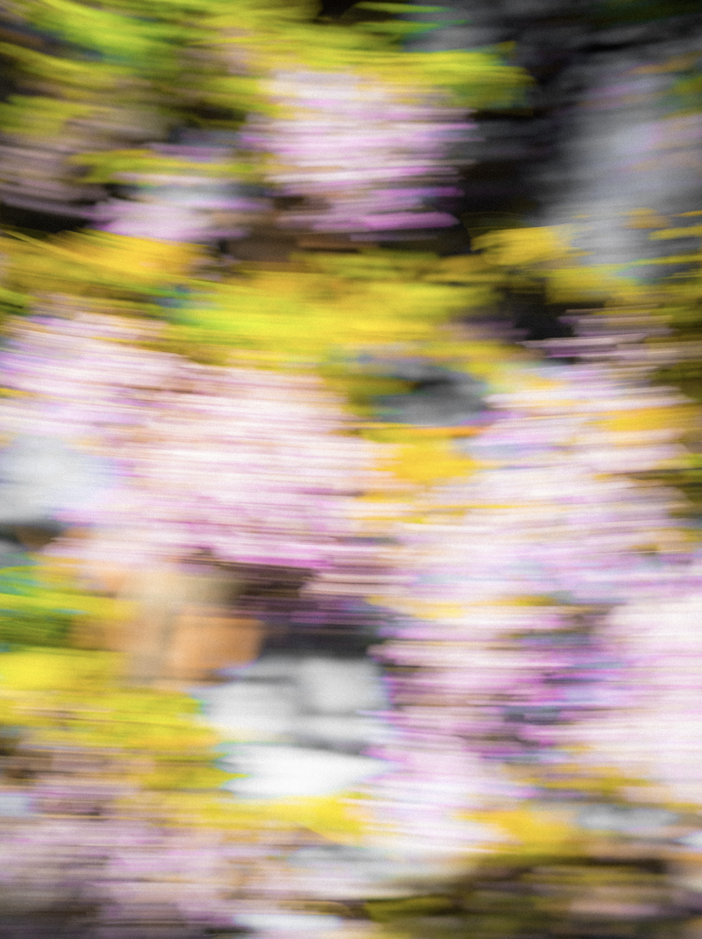Blurred close-up of pink, yellow, green, purple, and white flowers with streaked motion effect.