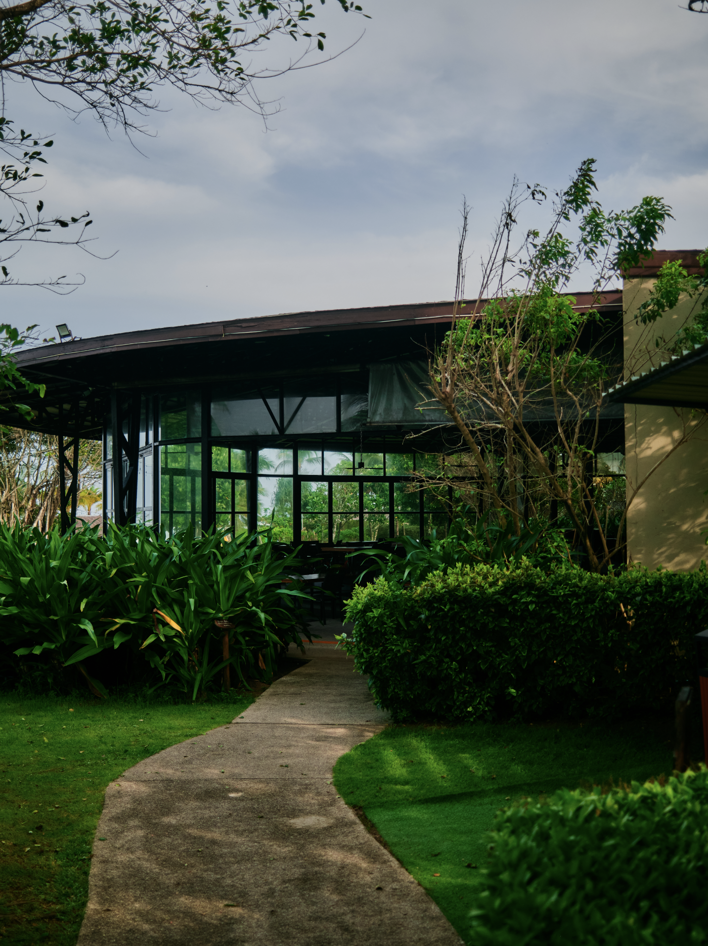 A concrete pathway leading through a lush green garden with bushes and large leafy plants on either side, and a house with large windows and a curved roof in the background.