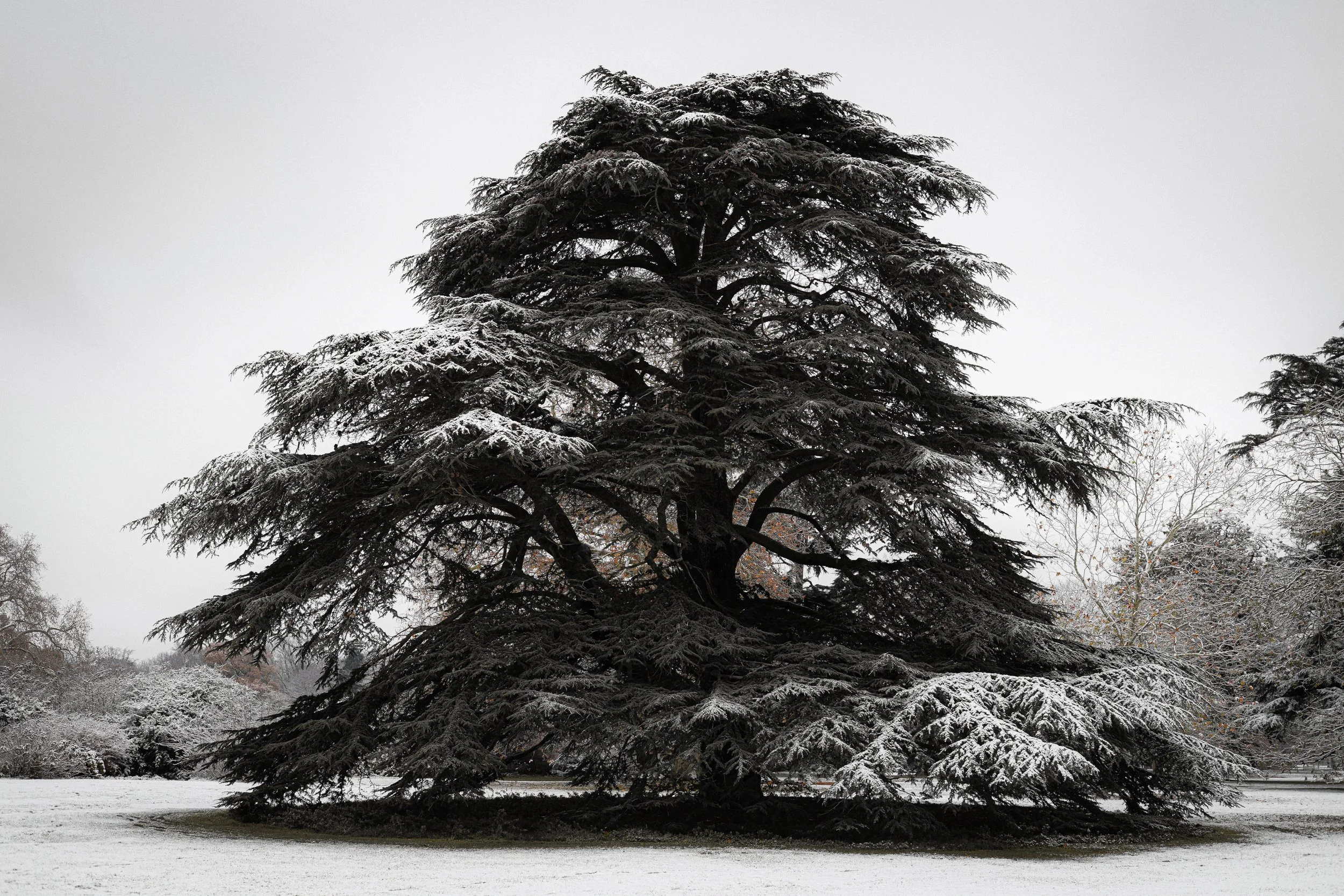 Richmond Park