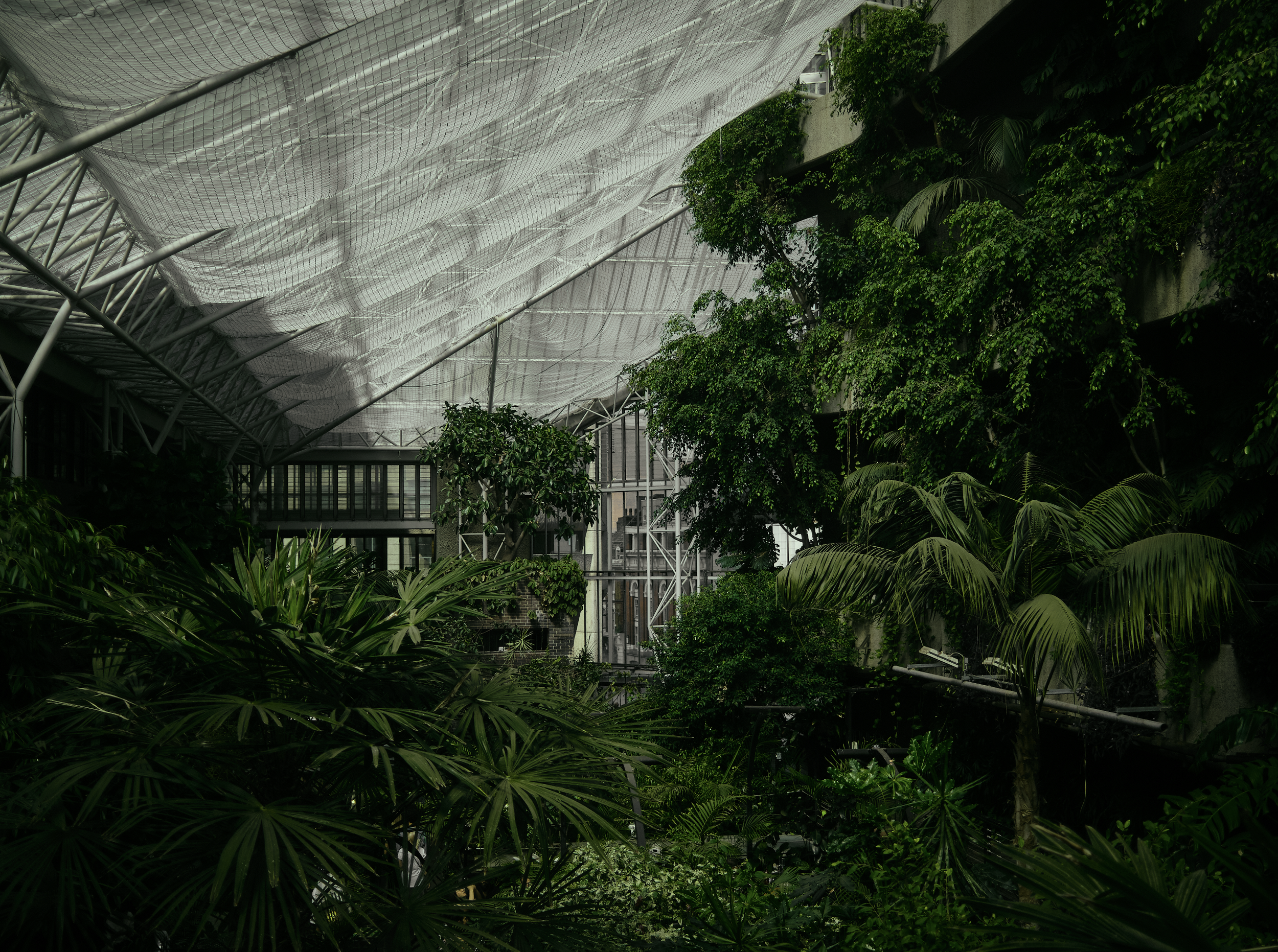 Barbican Conservatory