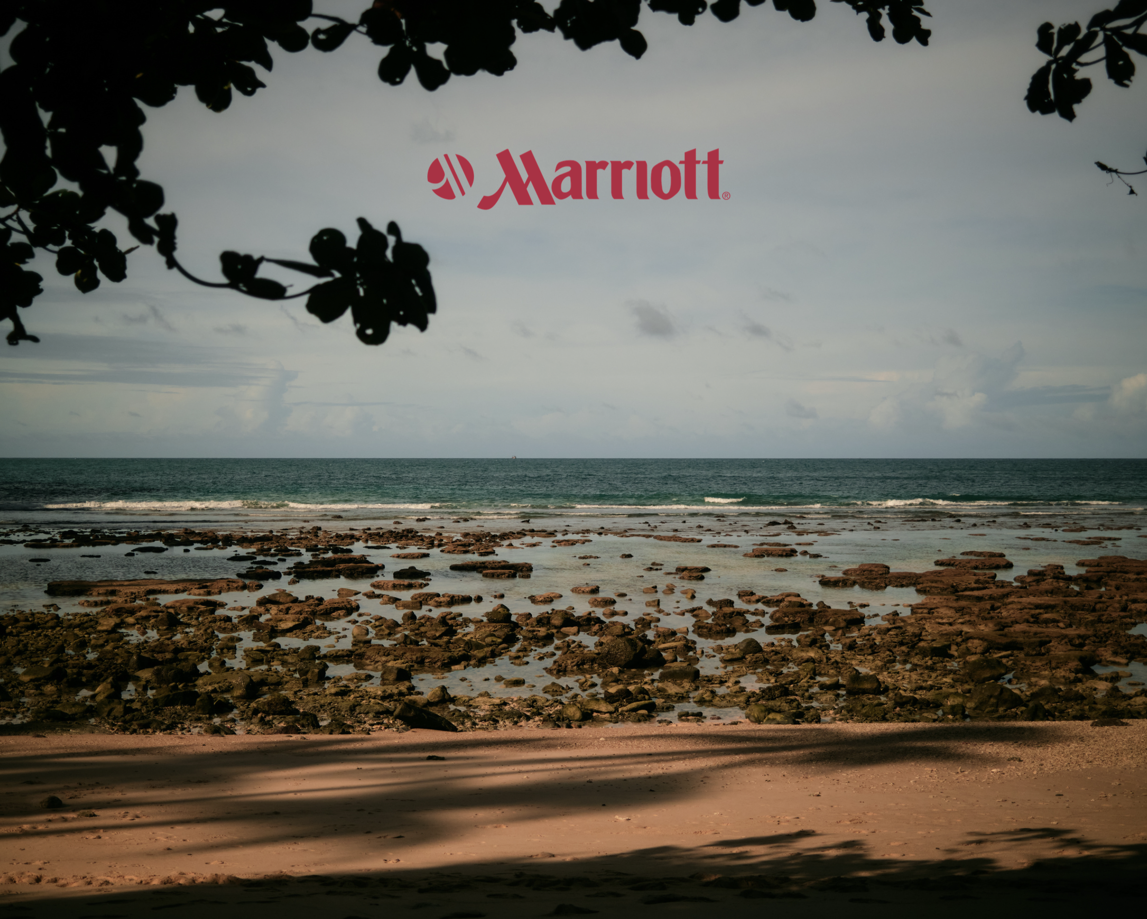 Beach with rocks and ocean waves, seen through overhanging trees with dark leaves
