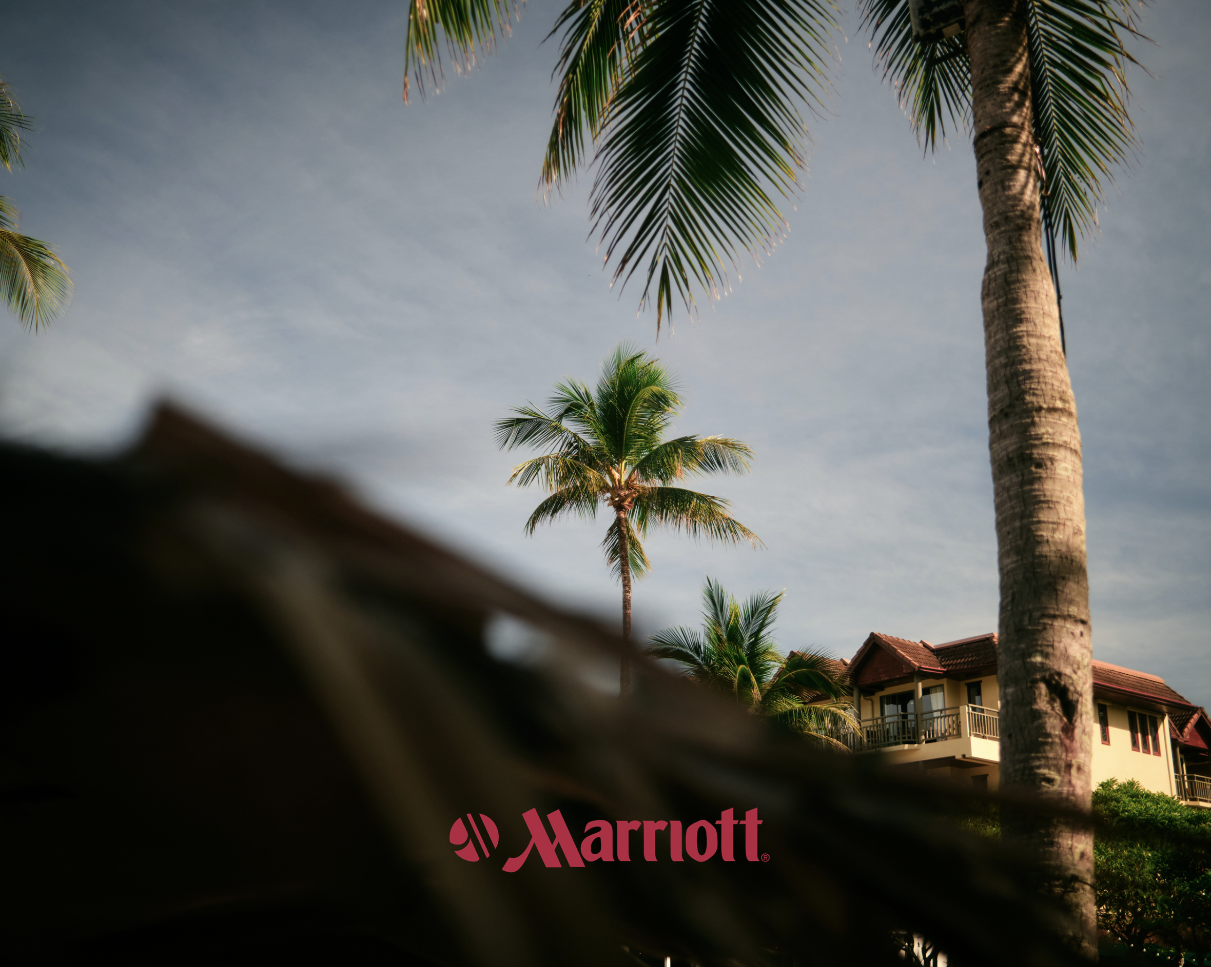 Palm trees in front of a building with a Marriott sign and a clear sky.