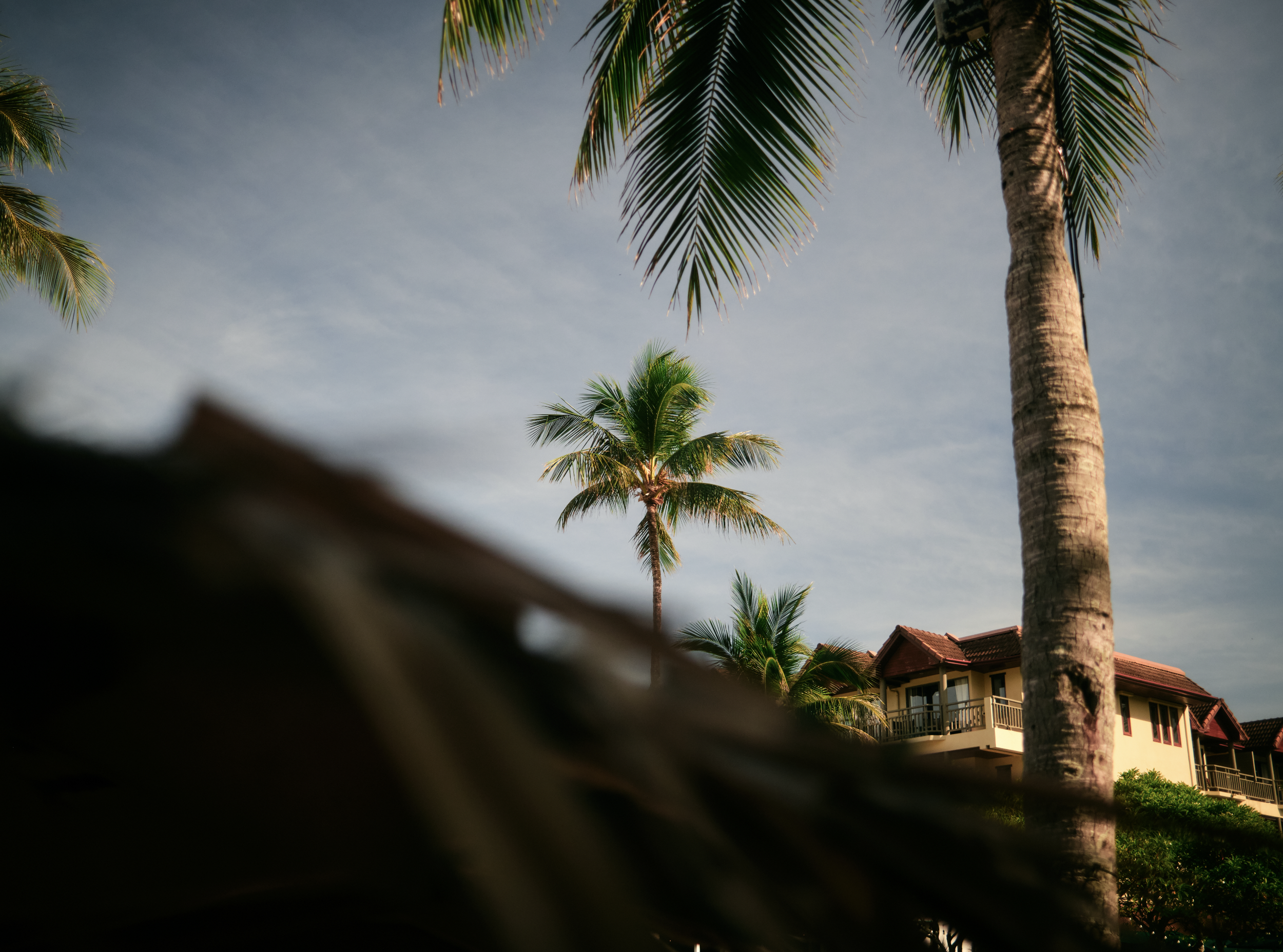 Tropical scene with palm trees, a house with a balcony, and a cloudy sky. Anemoia.