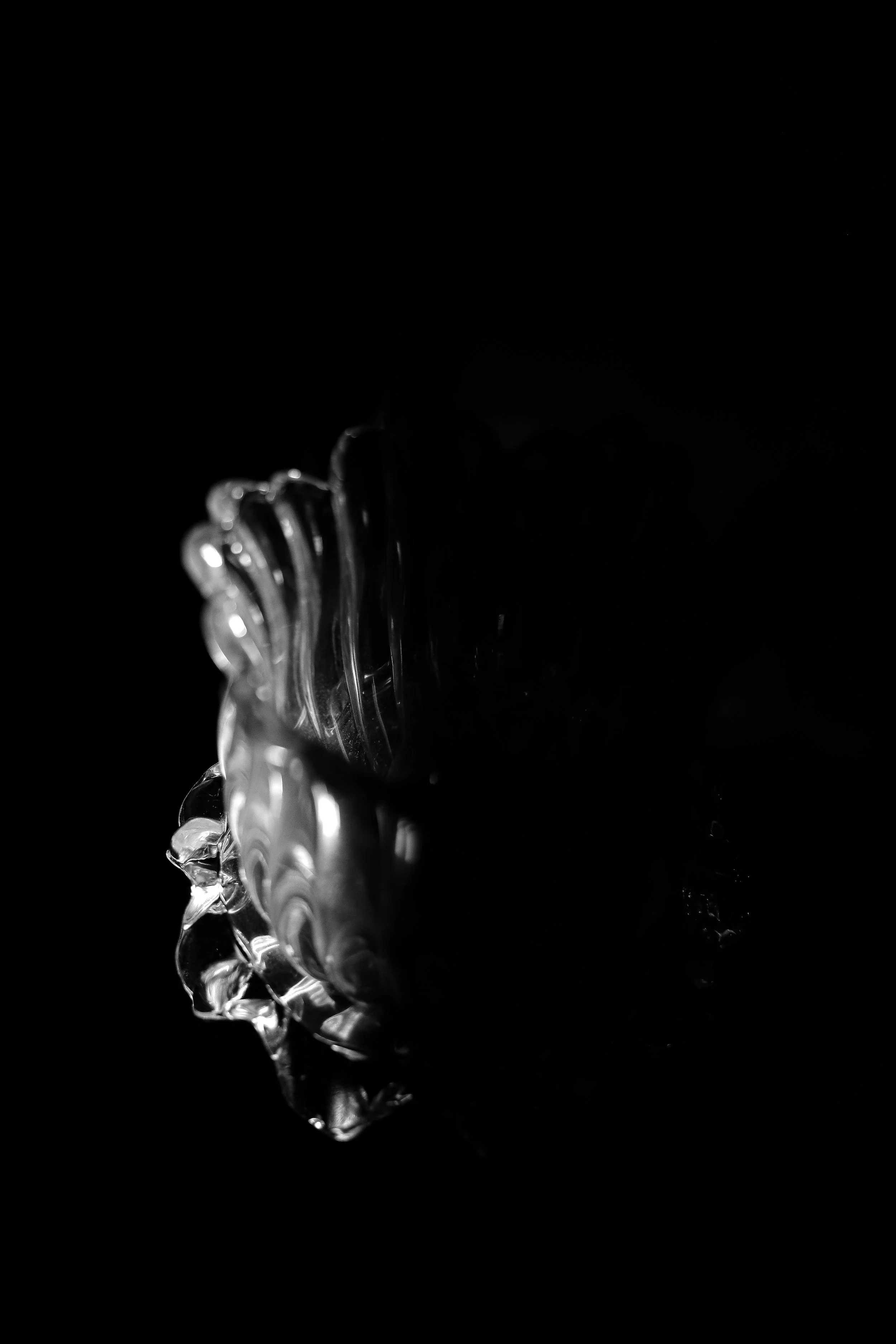 IMG_5877.jpg