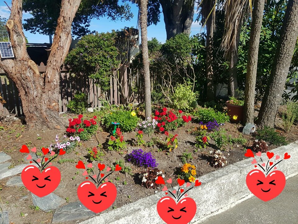 💐 What a beautiful start to the week! The bees are loving the colourful flowers.
💐 It's time to finish this work day and take time to smell the roses, or in this case the carnations and geraniums in the garden at 360 Skin Studio!