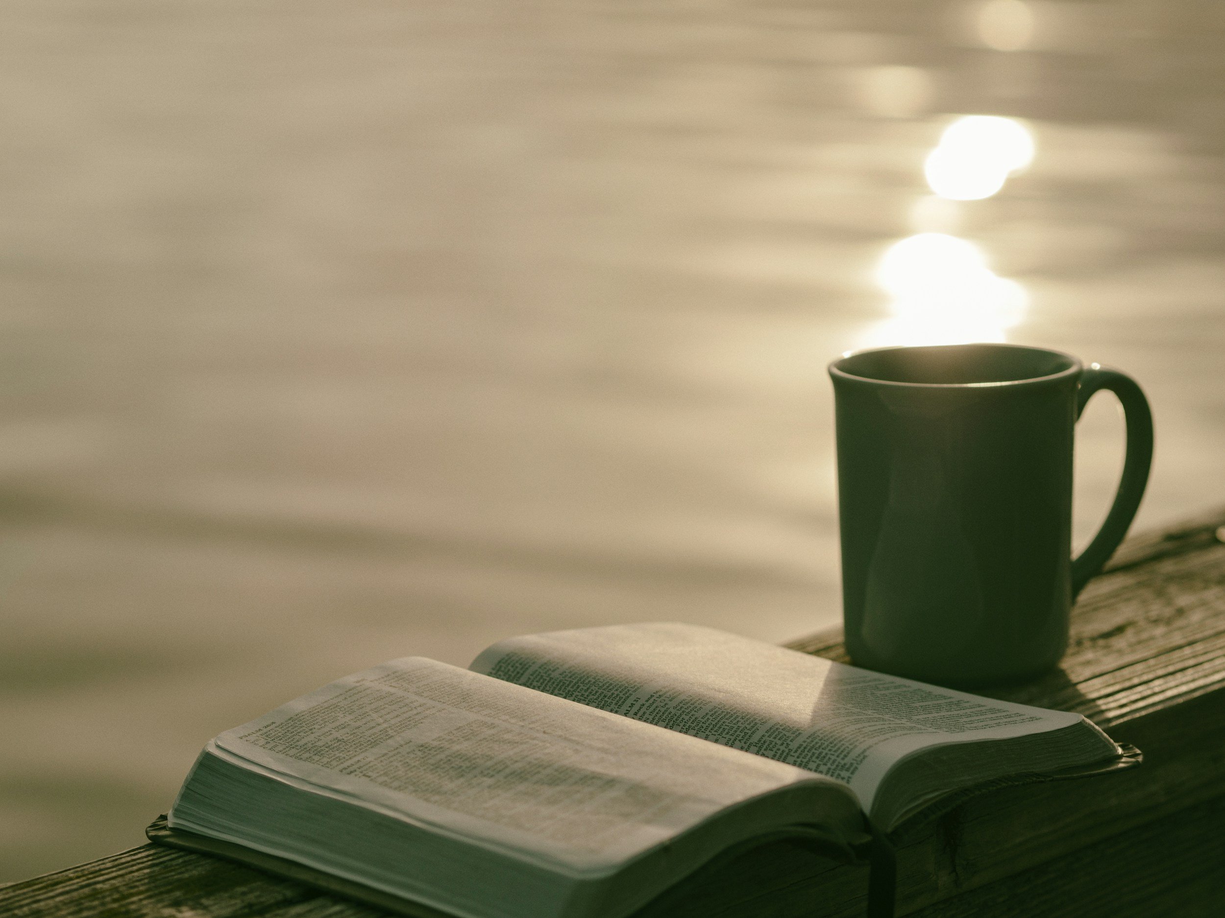 Have You Not Read?