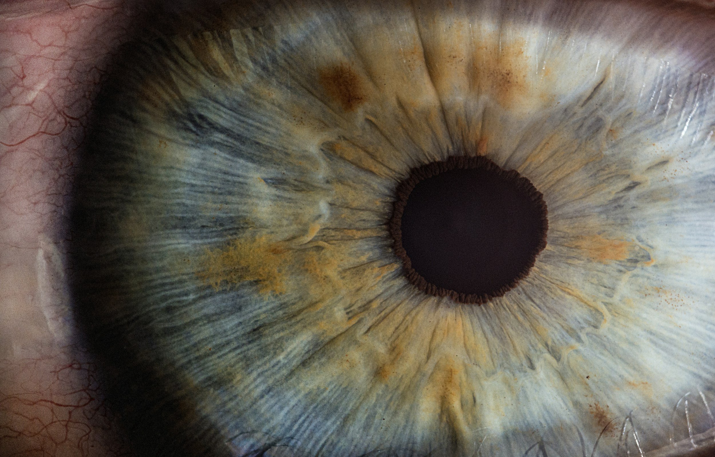 The All-Seeing Eye