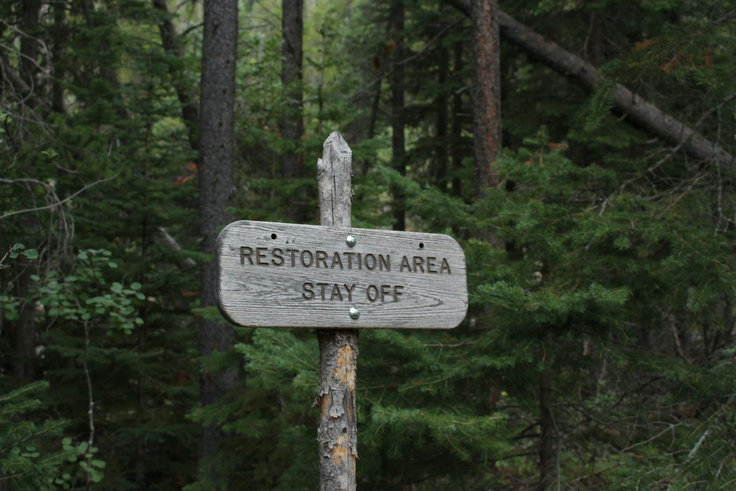 Restoration is Ongoing-Part 2
