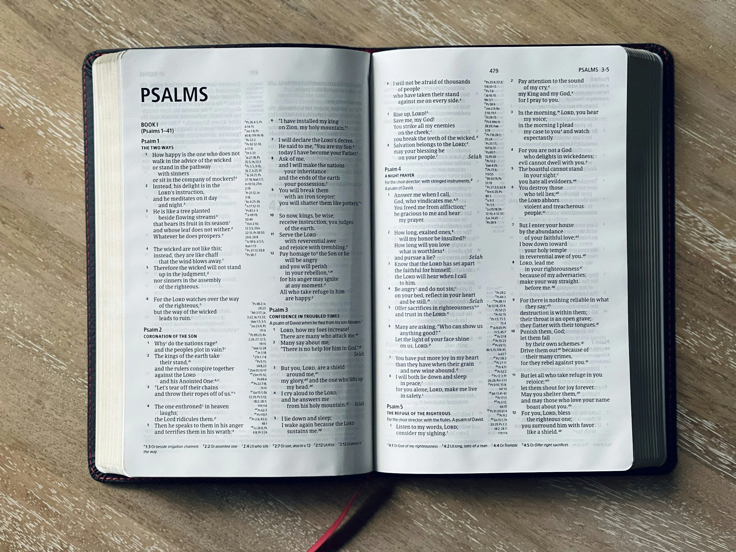 PSALMS 42 AND 43