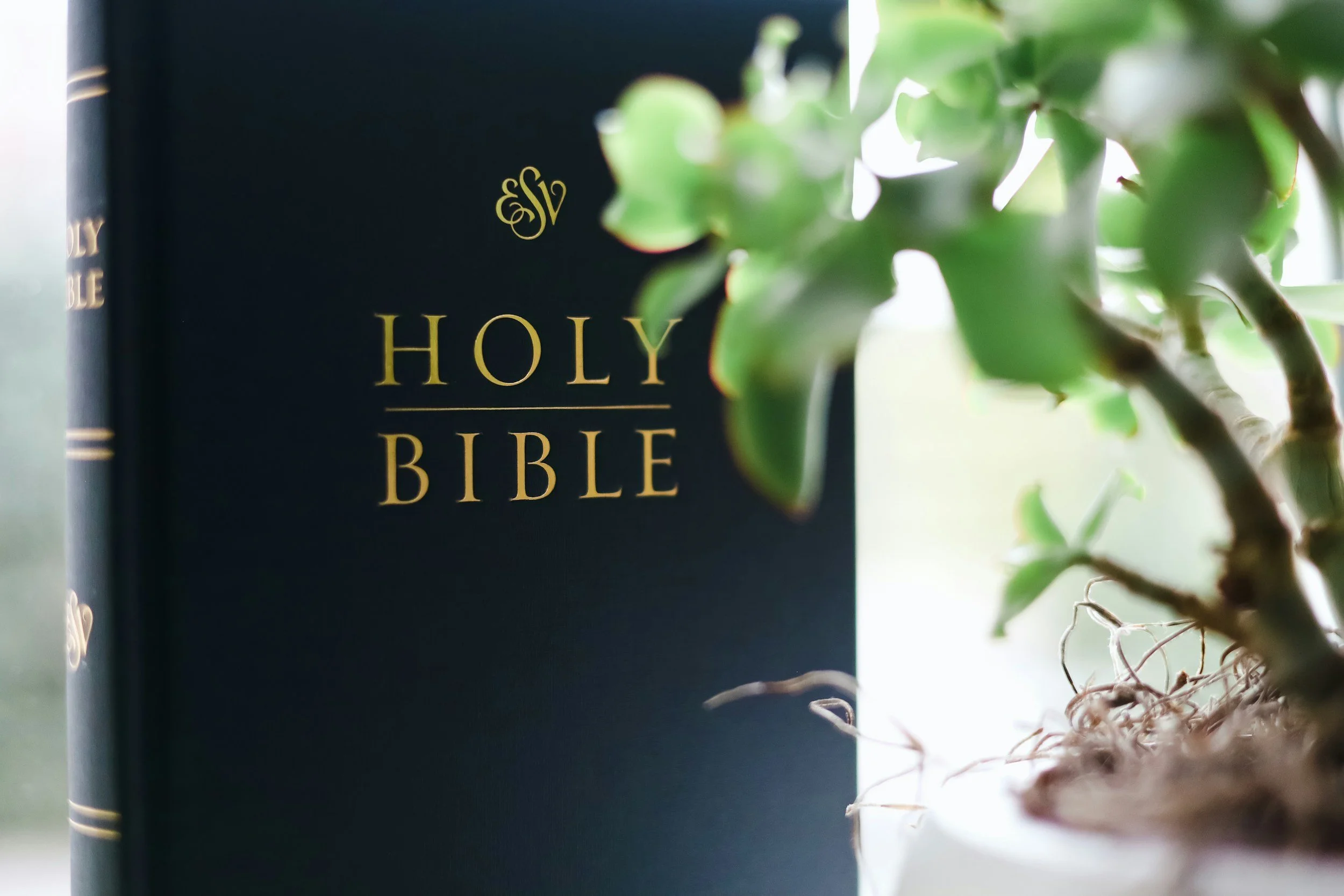 THE BIBLE
