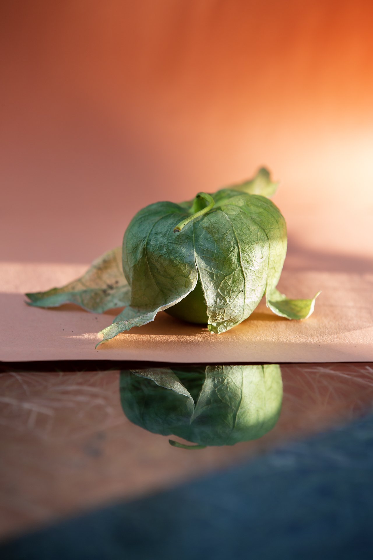 orange+tomatillo_1.jpg