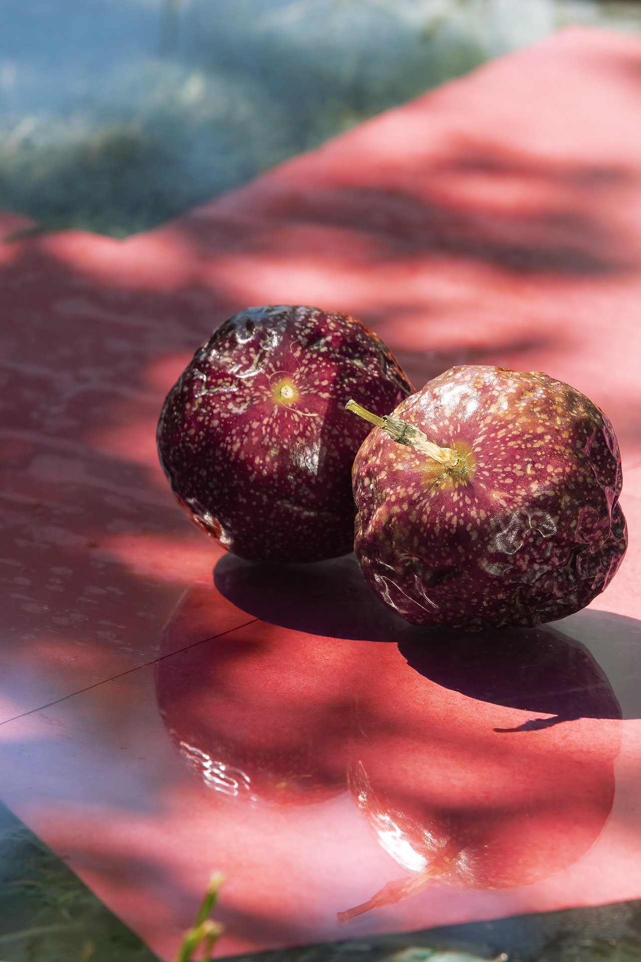 red+passionfruit_1.jpg