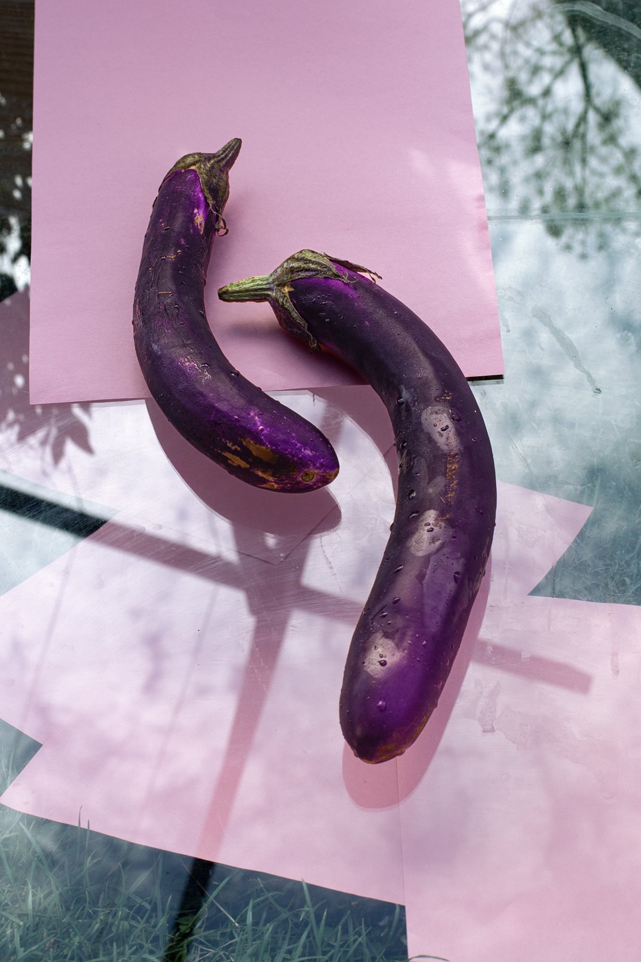 pink+eggplant.jpg
