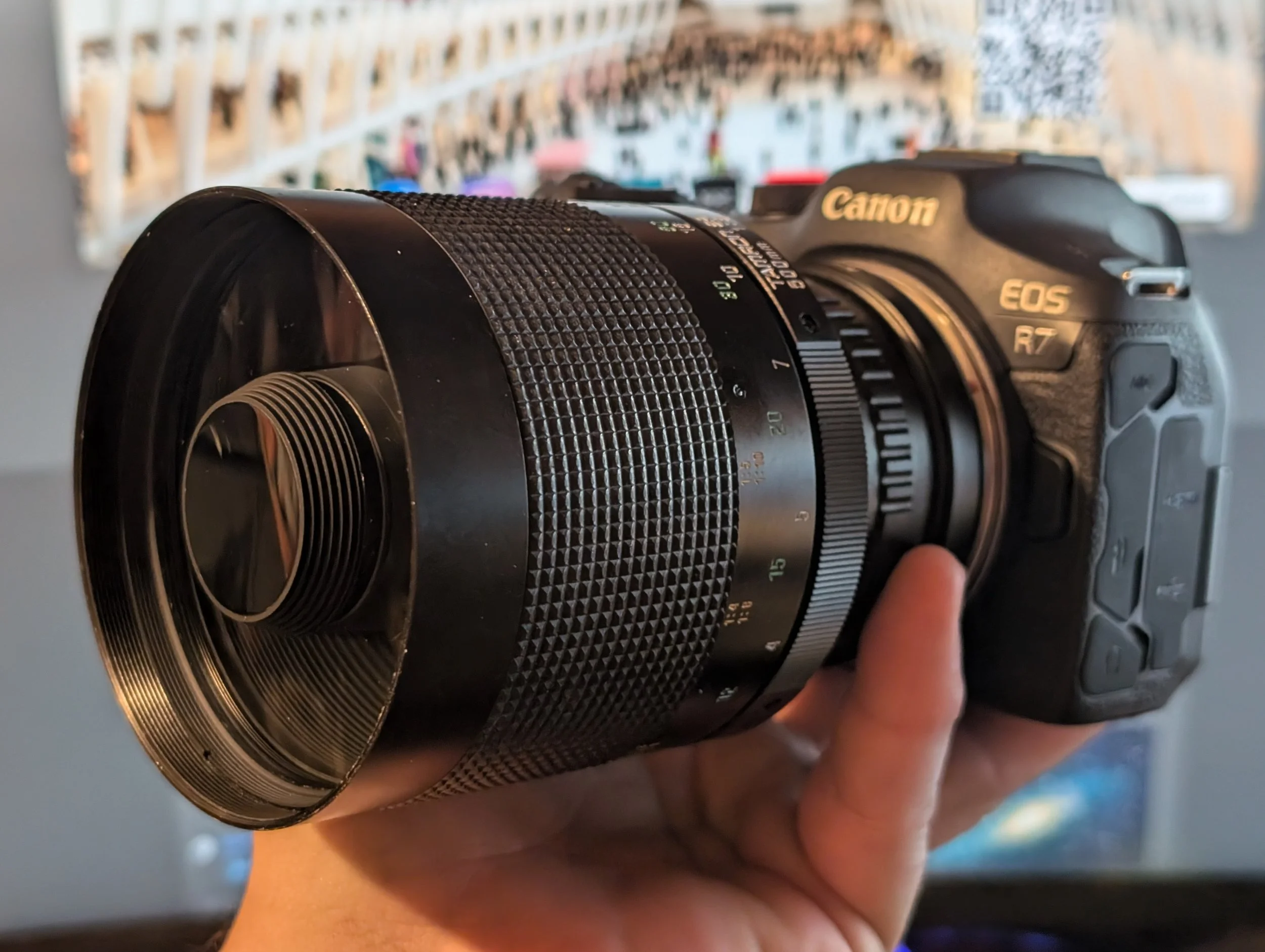 Tamron 500mm f/8 55BB – a short review and some tips Tamron 500mm f/8 55BB – a short review and some tips