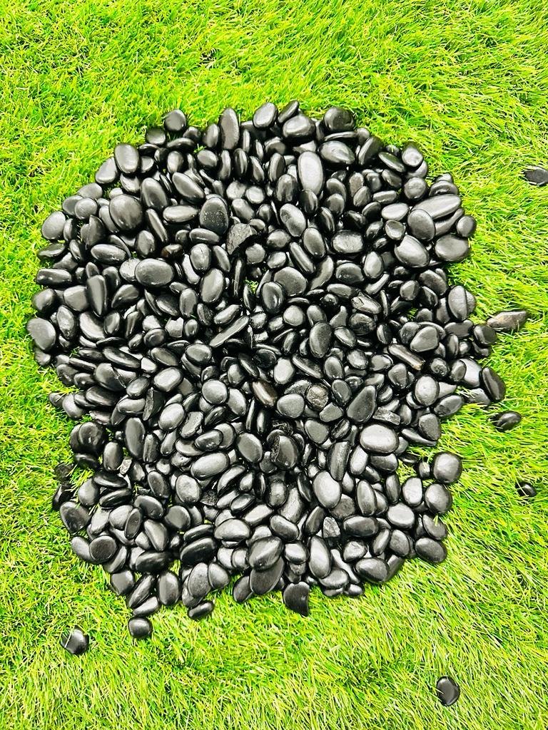 Coffee Beans 10 - 15 mm a.jpeg