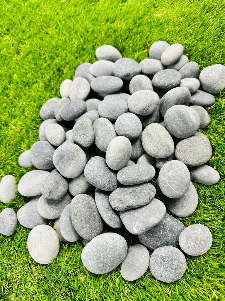 Mexican Beach Pebbles 1-2%22 3.jpeg