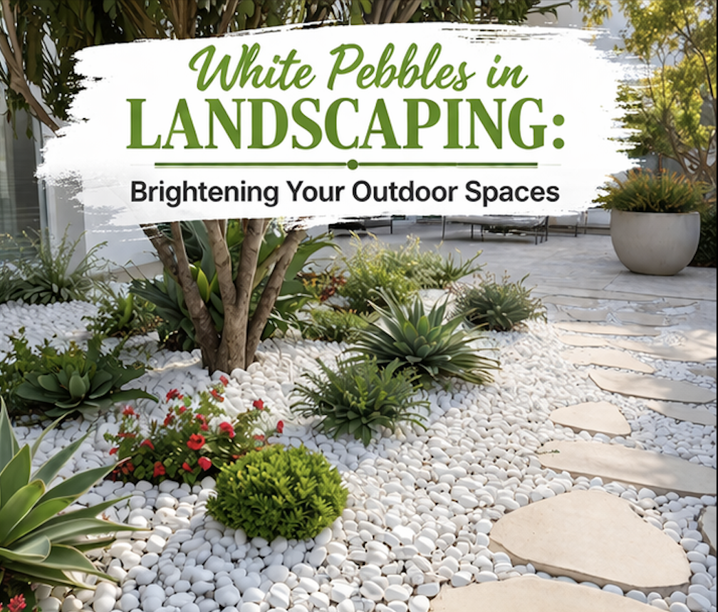 White Pebbles in Landscaping: Brightening Your Outdoor Spaces