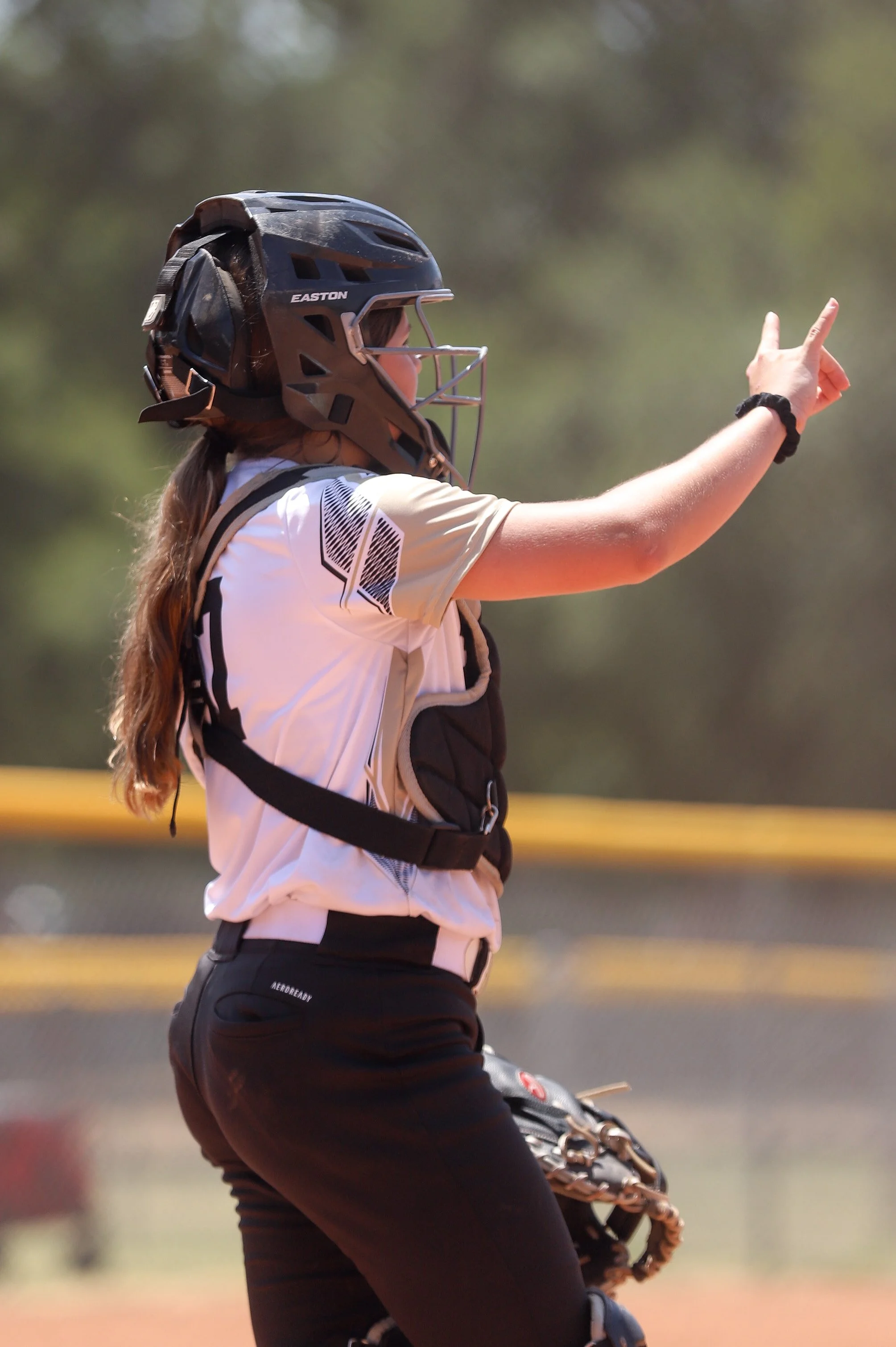 Photo Feb 13 2017, 10 08 18 PM.jpg