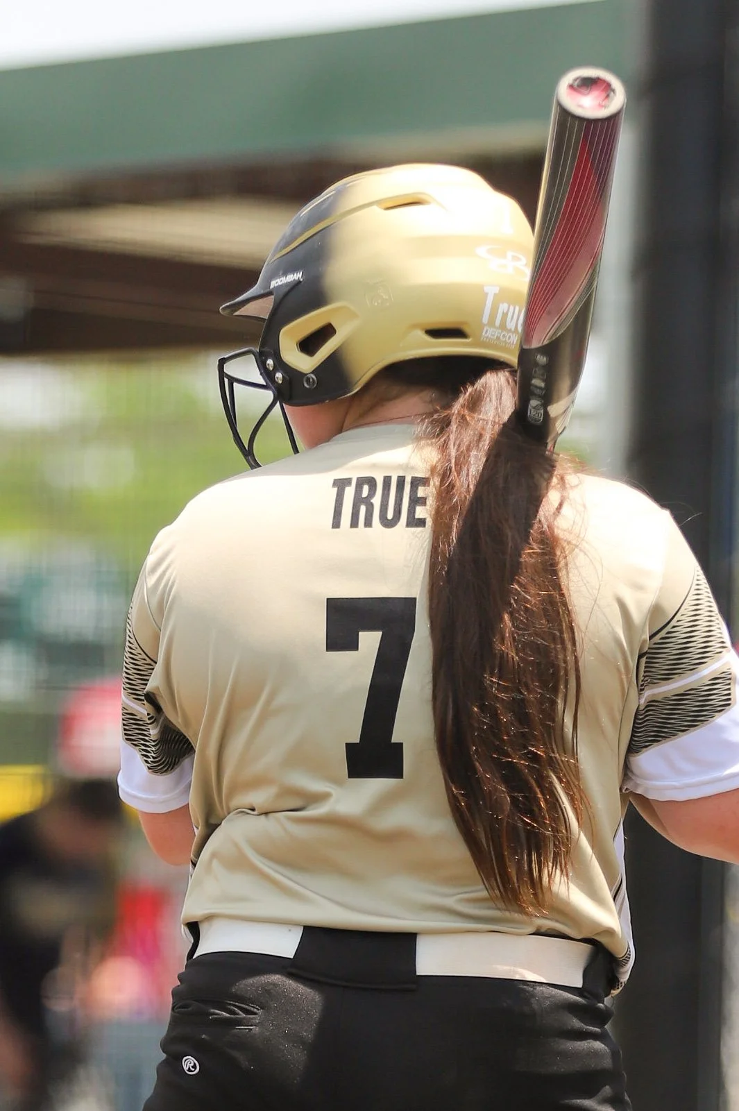 Photo Jan 29 2017, 10 32 33 PM.jpg