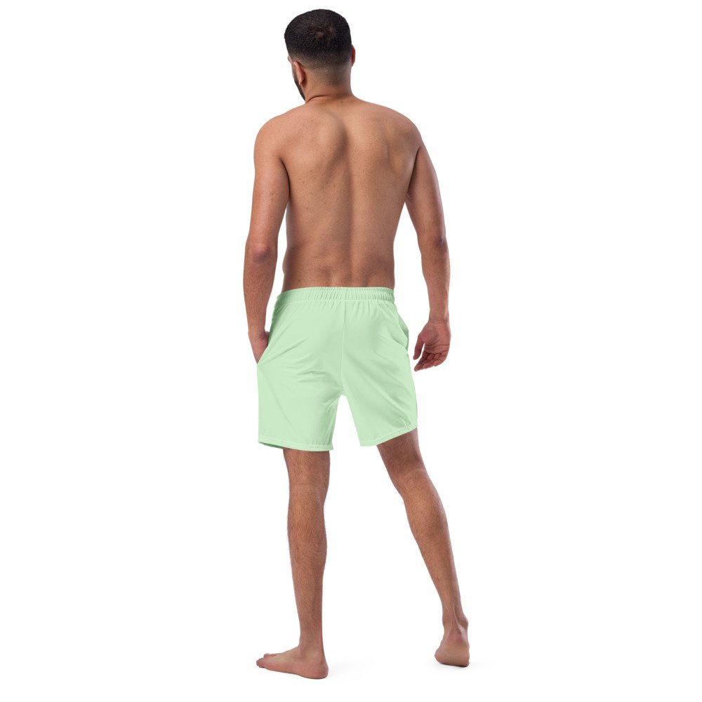swim-trunks-swimsuit-spooky-summer-pale-green-matching-family-couple