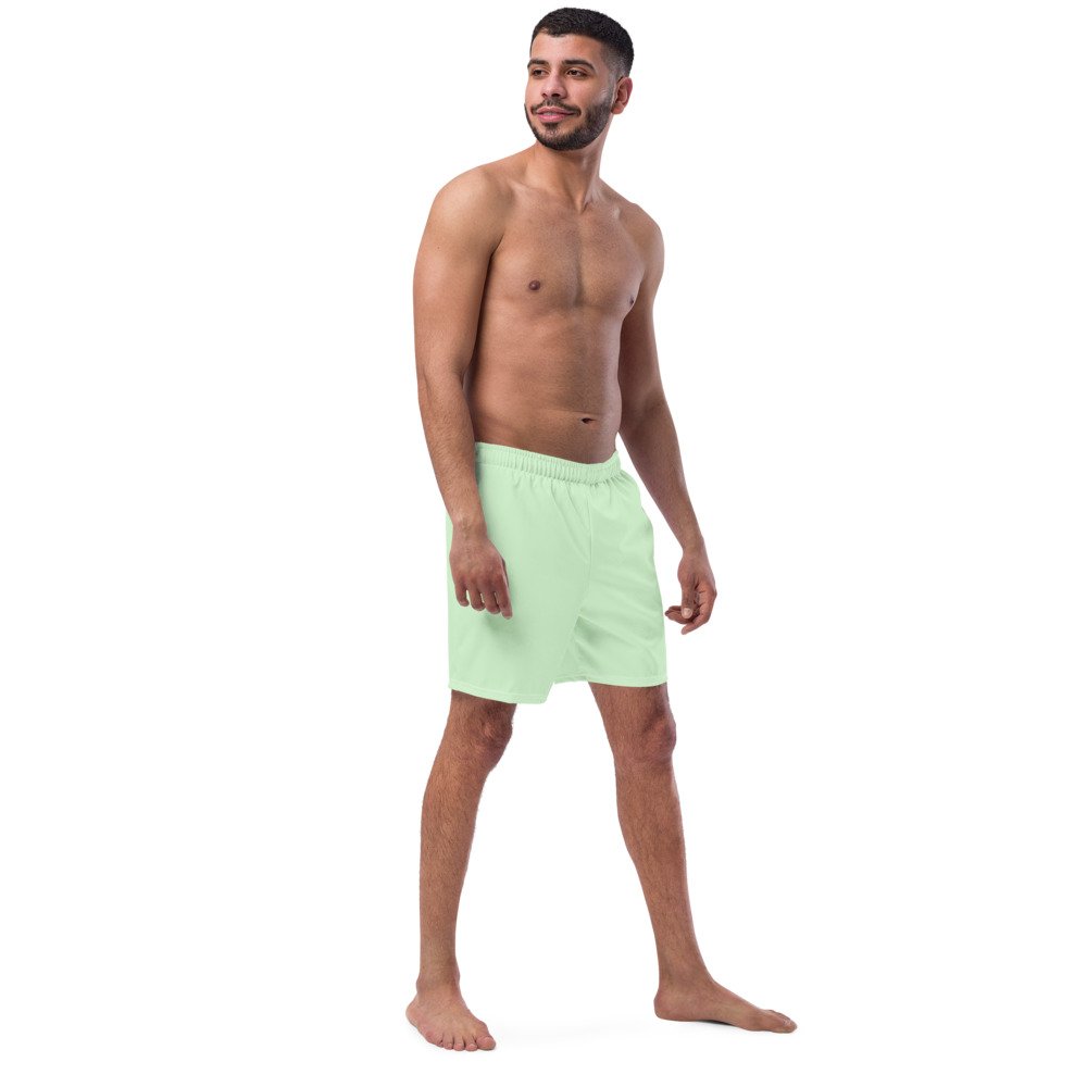 swim-trunks-swimsuit-spooky-summer-pale-green-matching-family-couple
