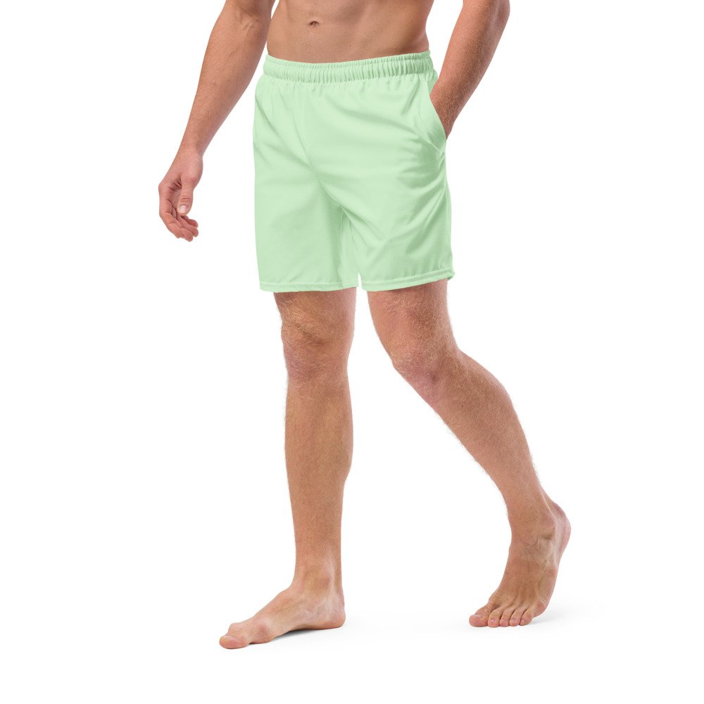 swim-trunks-swimsuit-spooky-summer-pale-green-matching-family-couple