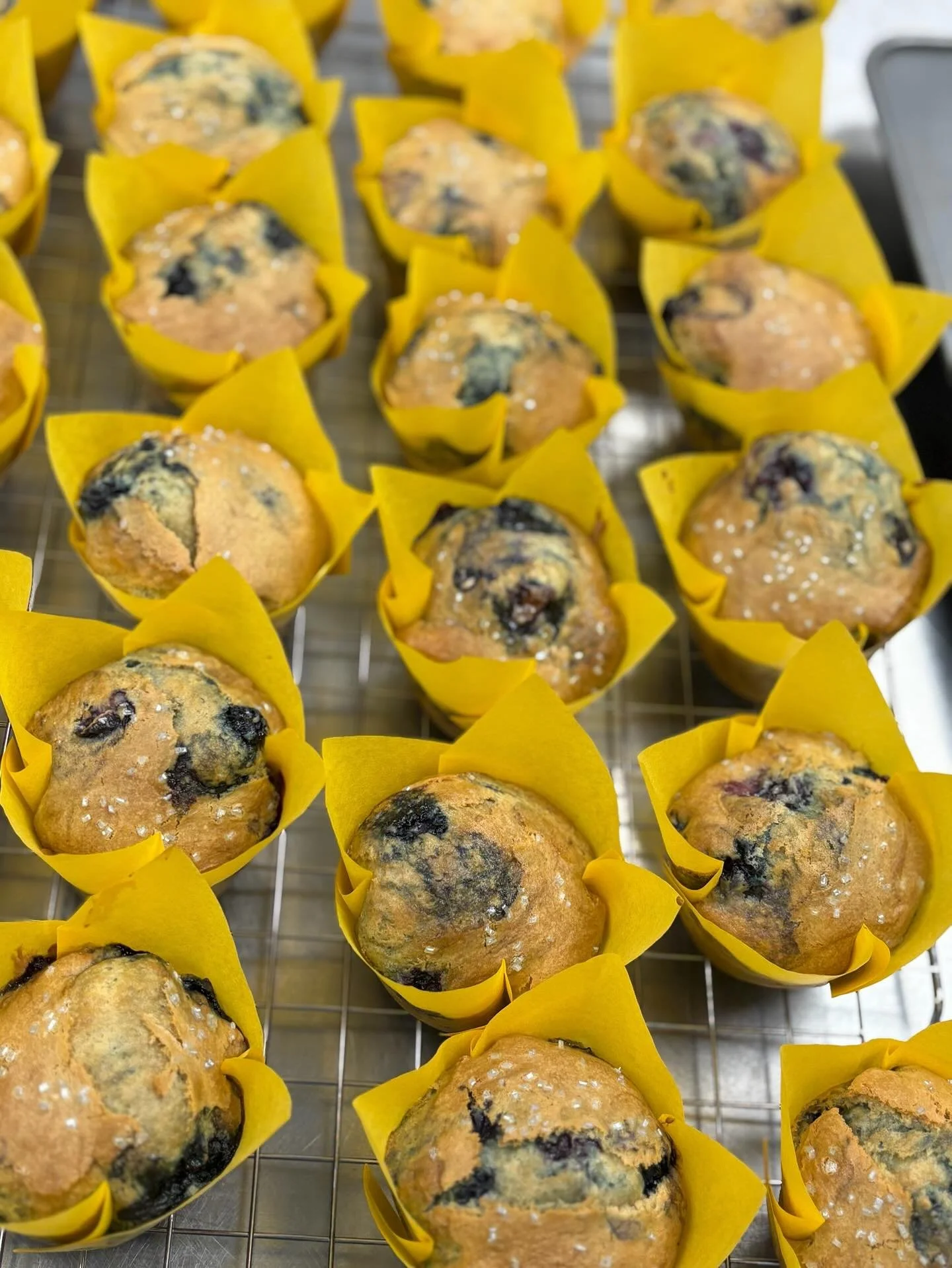 Need an excuse for a yummy snack ? 

Here&rsquo;s a good one : Gluten-free and Dairy-free! You deserve one ( ͡&deg; ͜ʖ ͡&deg;)
🫐muffins !!! Only @polysplace ☕️✨