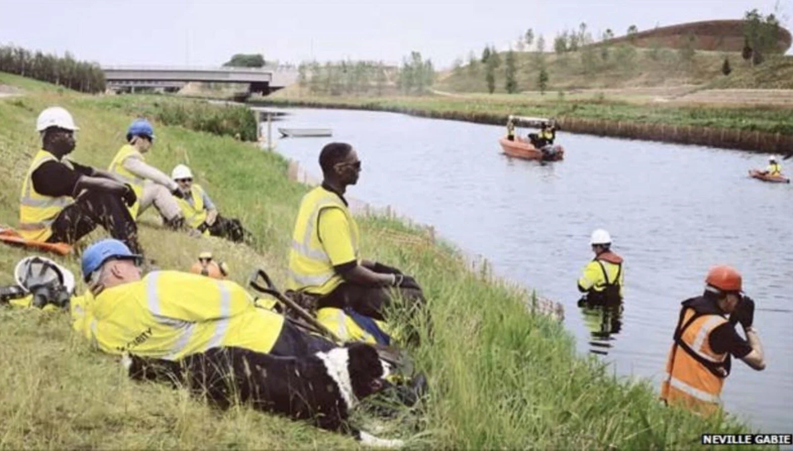 Freeze Frame art work