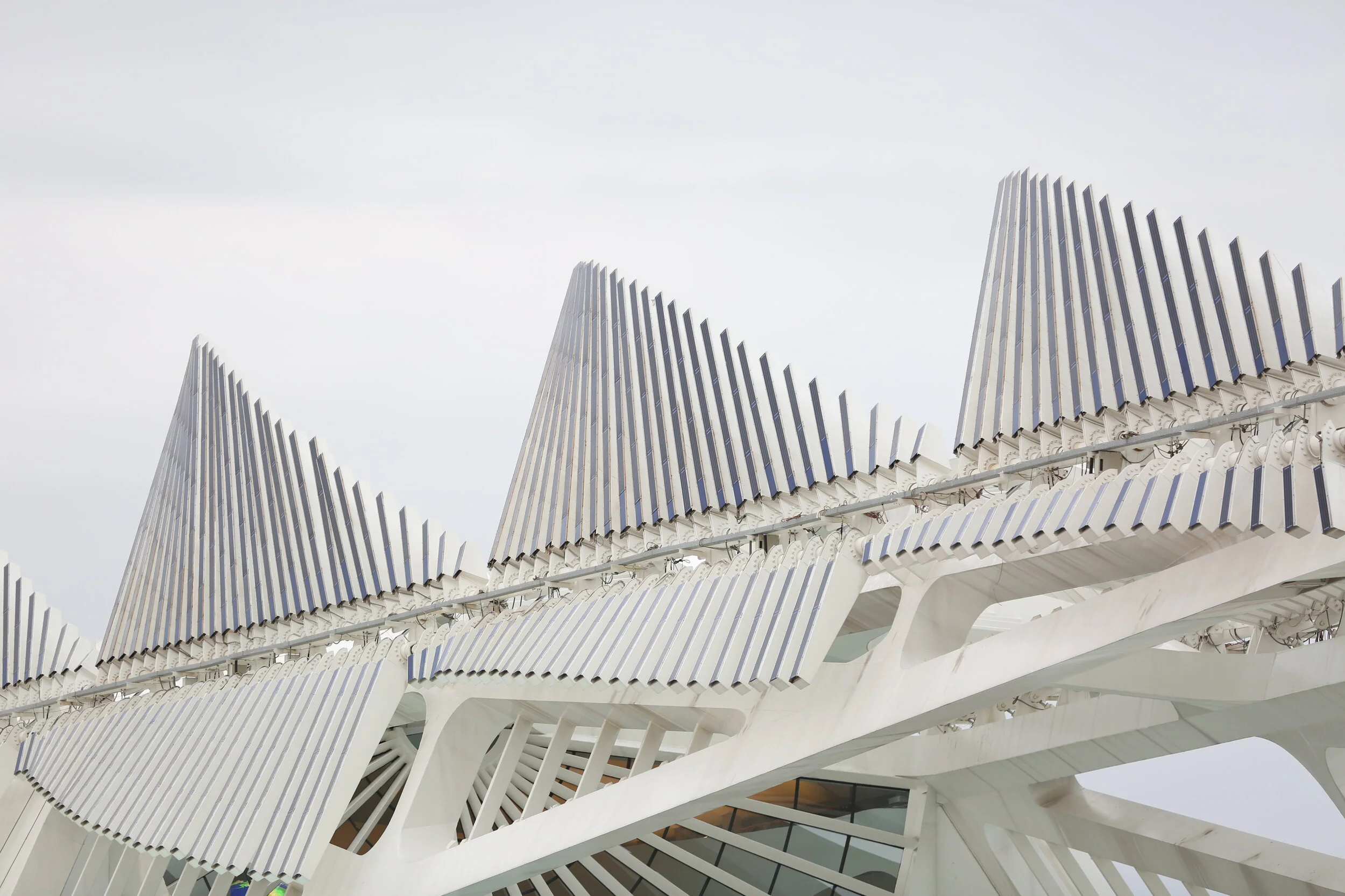 The Rio 2016 Cultural Passport
