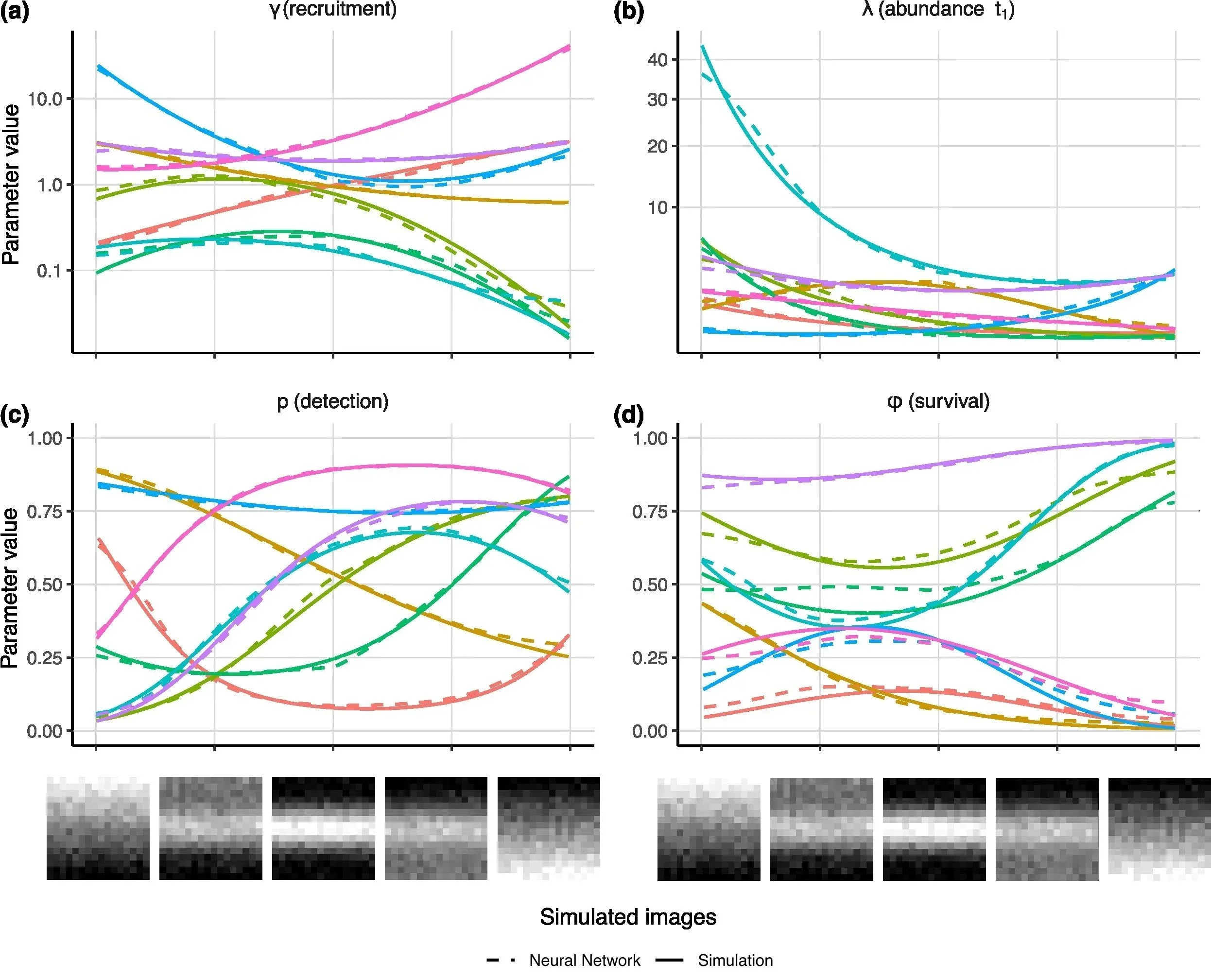 New preprint: Neural dynamic N-mixture model