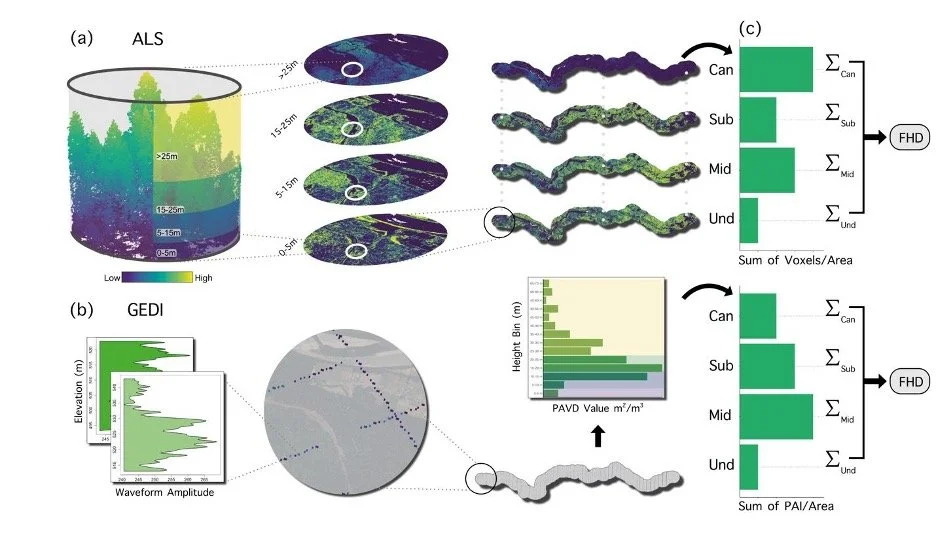 New preprint: Validating the use of GEDI in biodiversity studies