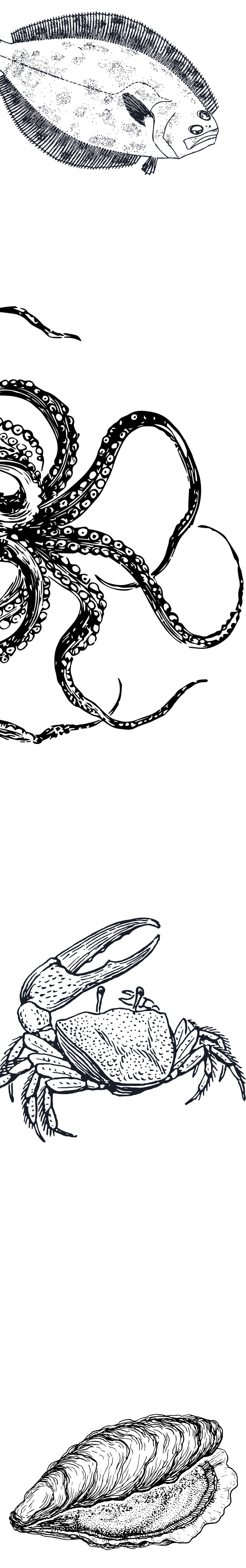 A chalkboard-style drawing of a crab and a fish, with a vertical list of the names 'Lobster' and 'Crab'.
