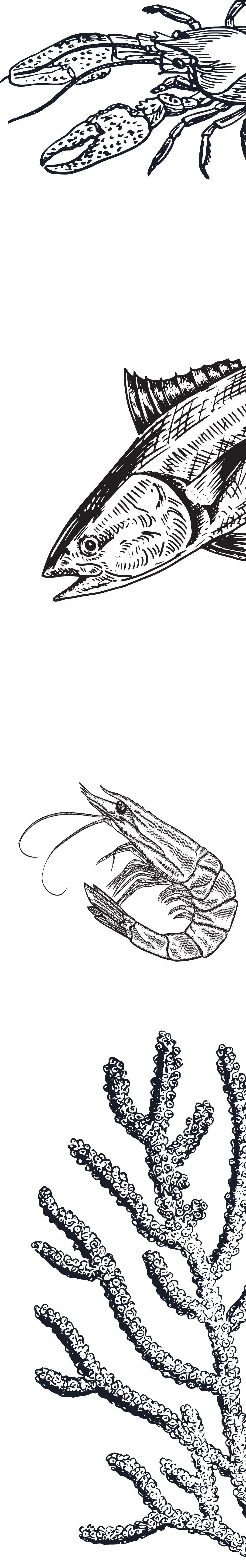Illustration of various sea creatures, including a lobster, a fish, a shrimp, and underwater coral.